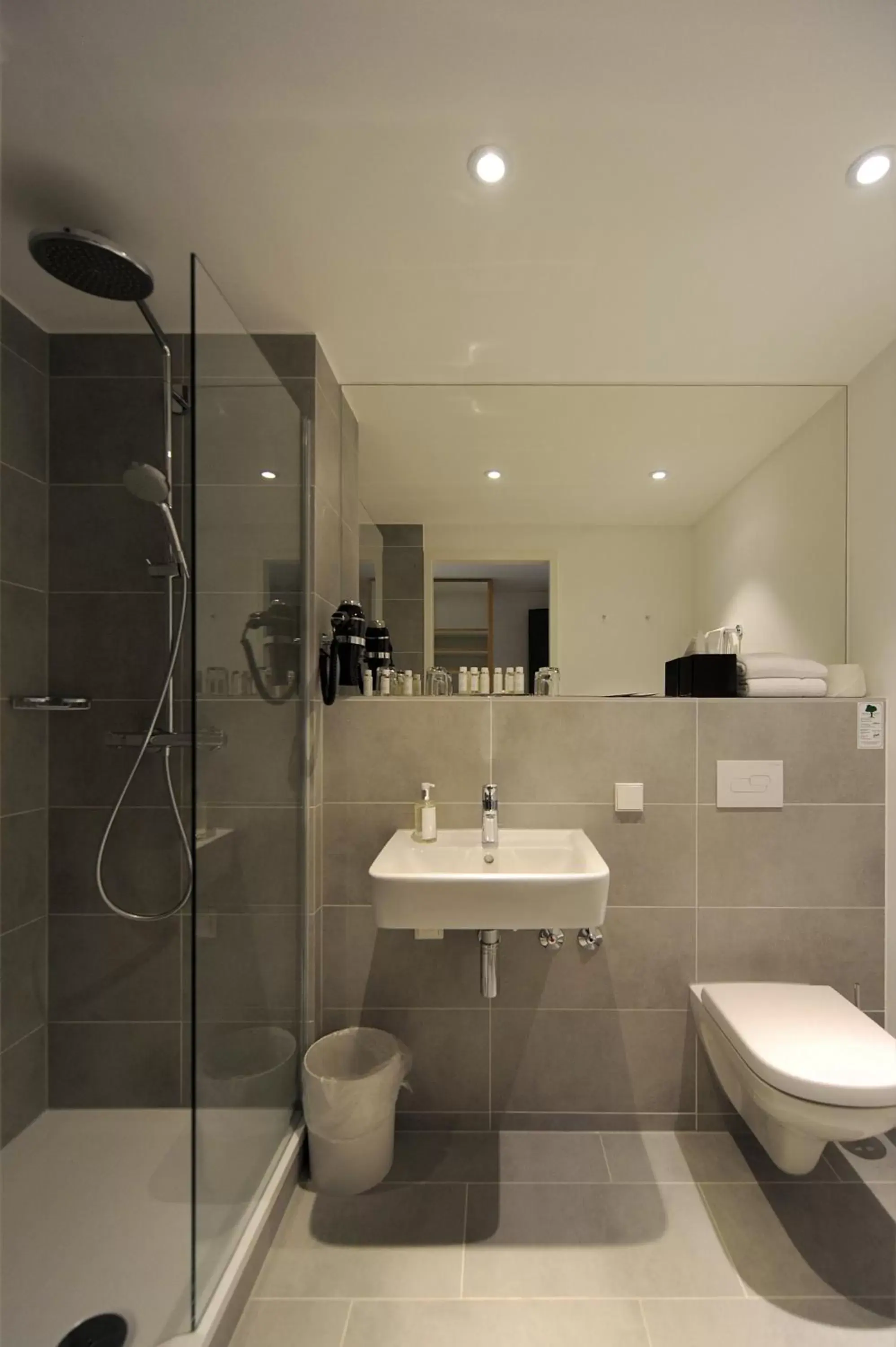 Shower, Bathroom in Bayer 89 Vi Vadi Hotel