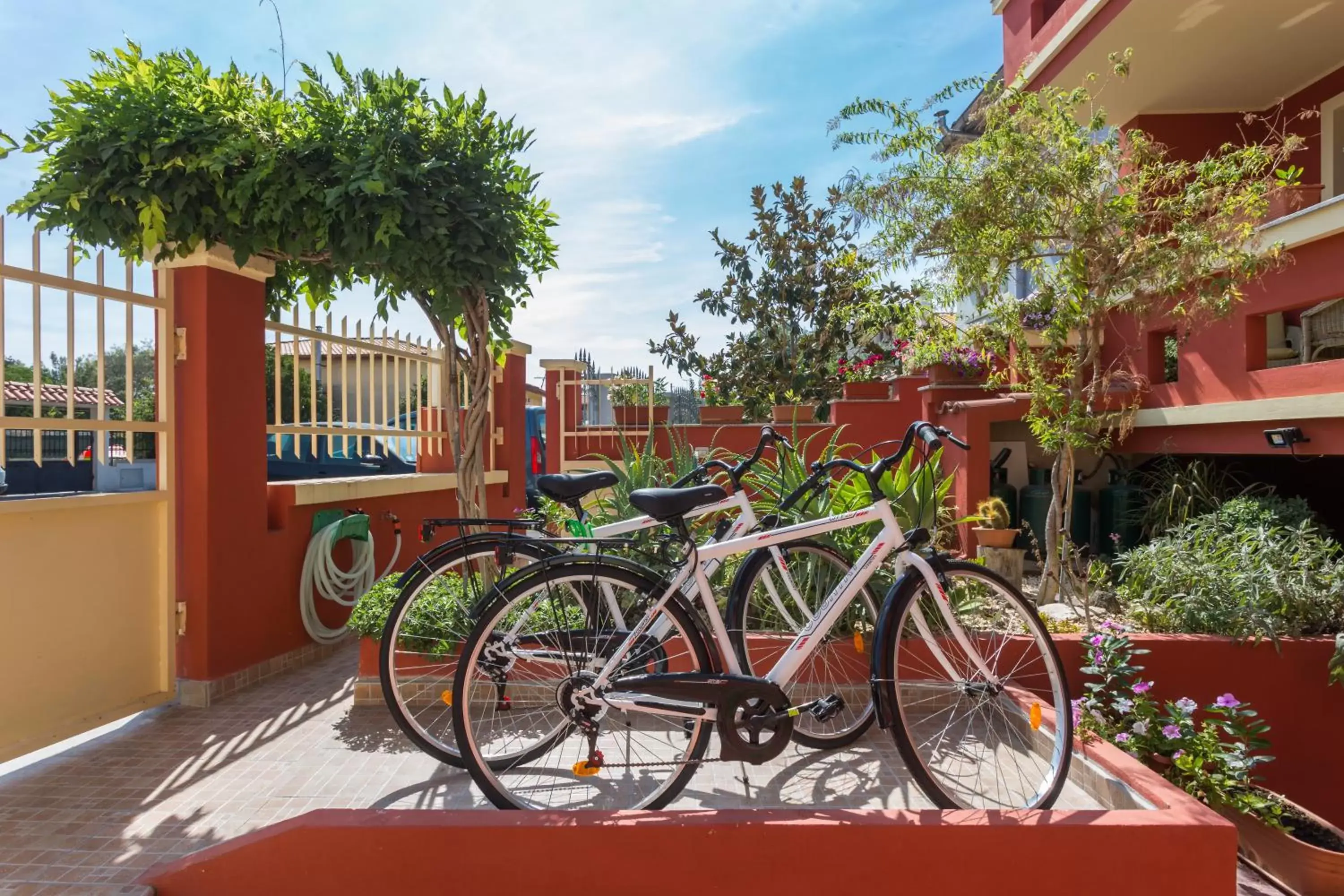 Cycling, Other Activities in B&B Il Mirto