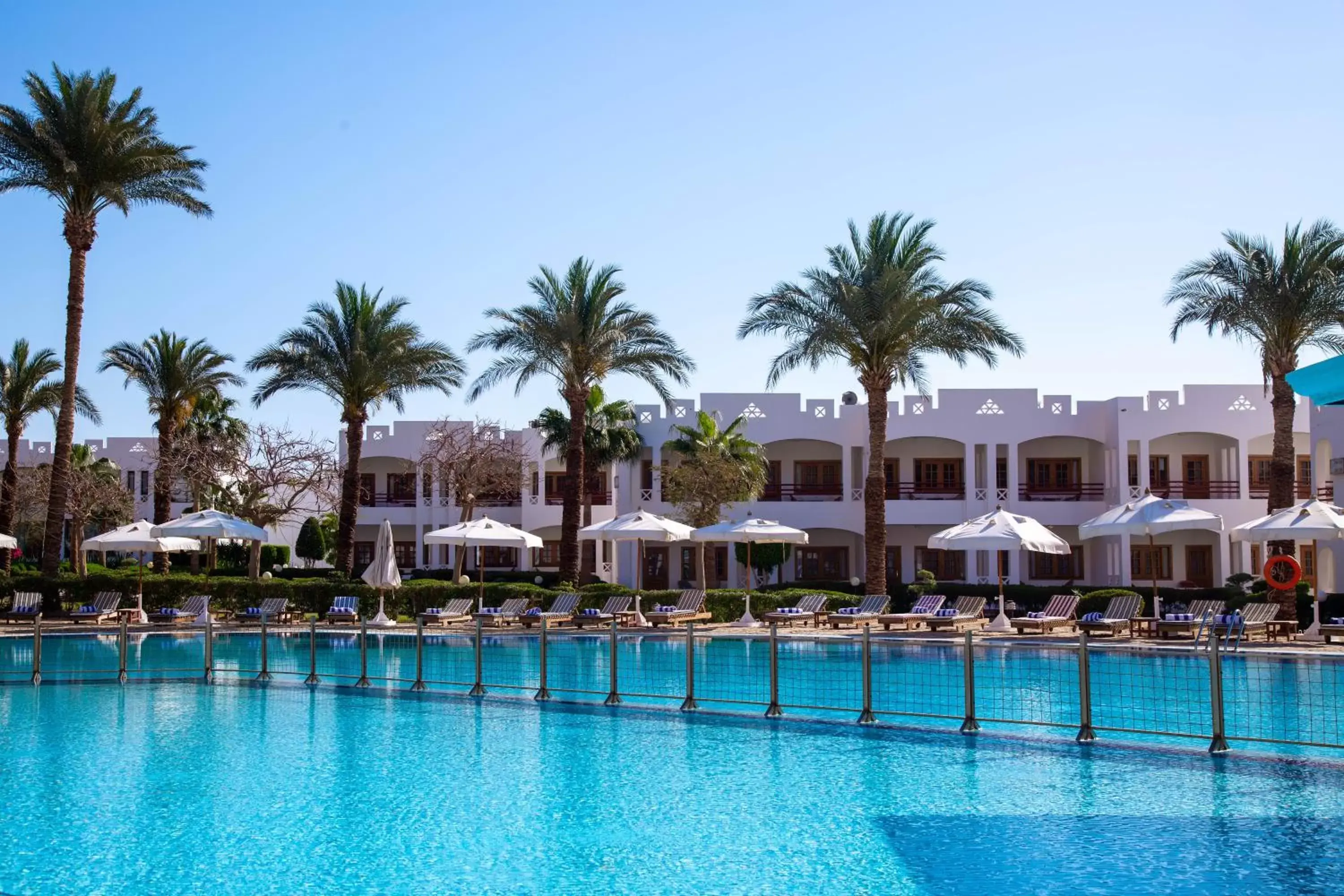 Swimming Pool in Happy Life Village Dahab