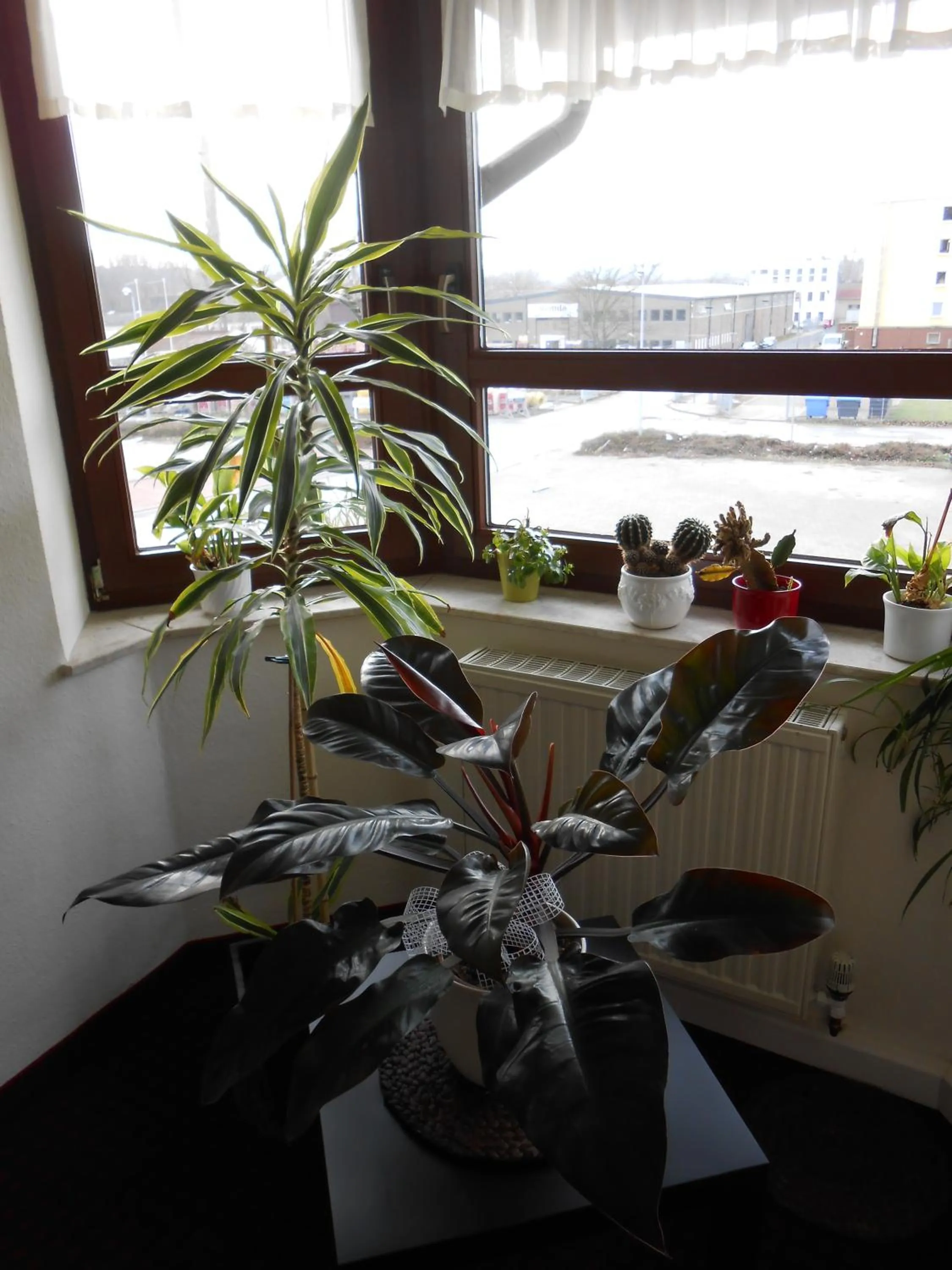 Other in Hotel Weisse Elster