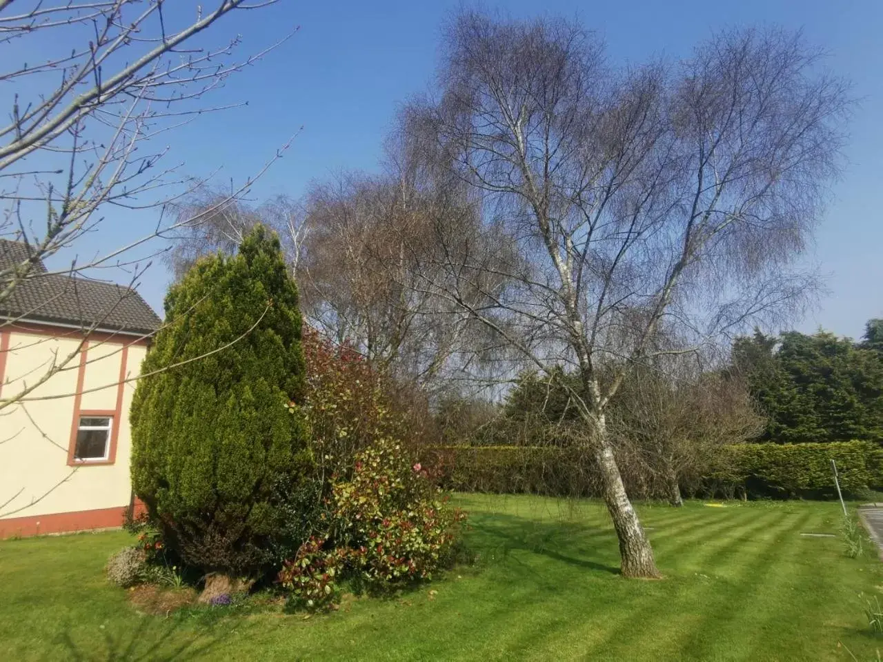 Garden in Rhu Glenn Hotel