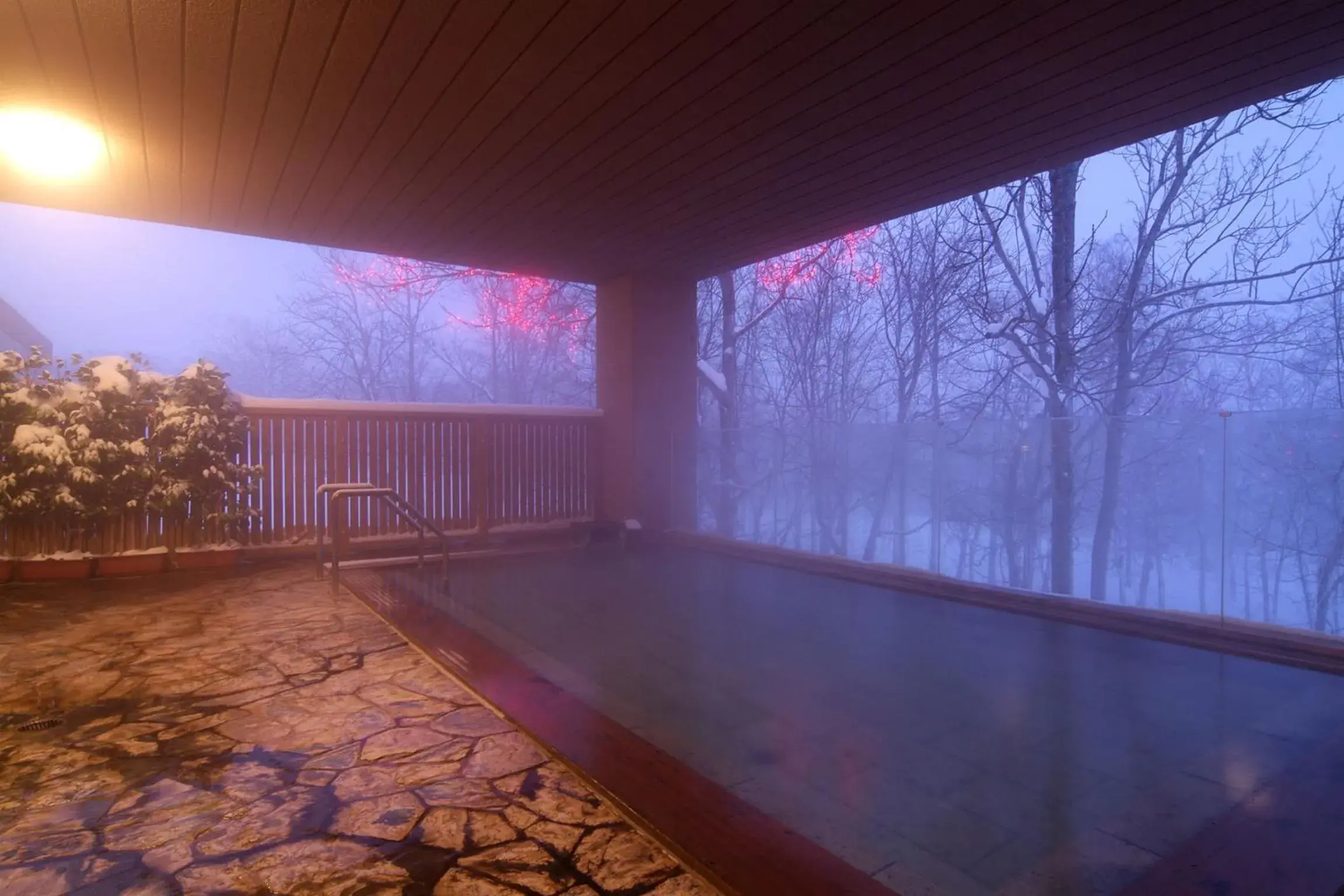 Hot Spring Bath, Swimming Pool in Hotel Kanronomori