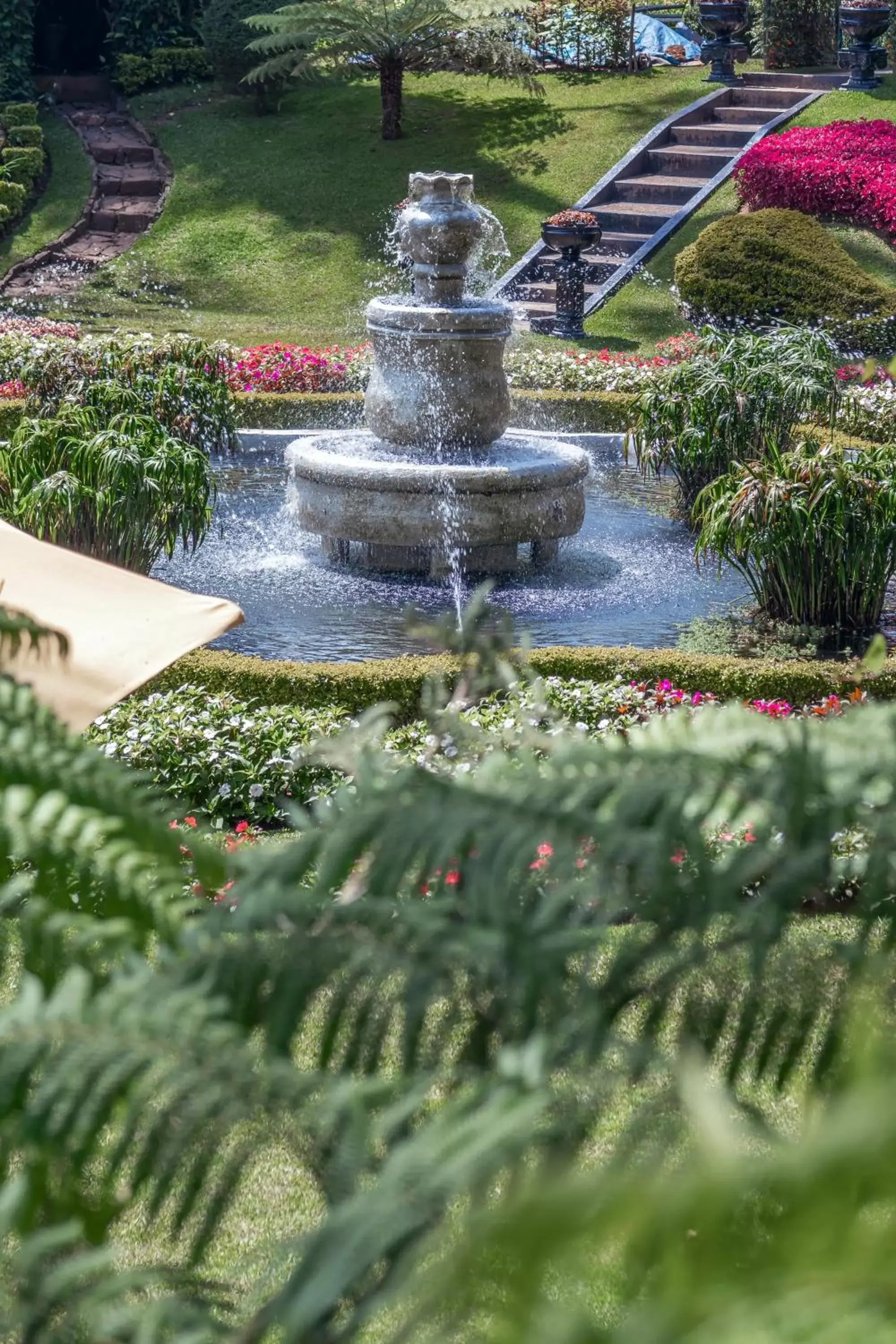 Natural landscape in The Grand Hotel - Heritage Grand