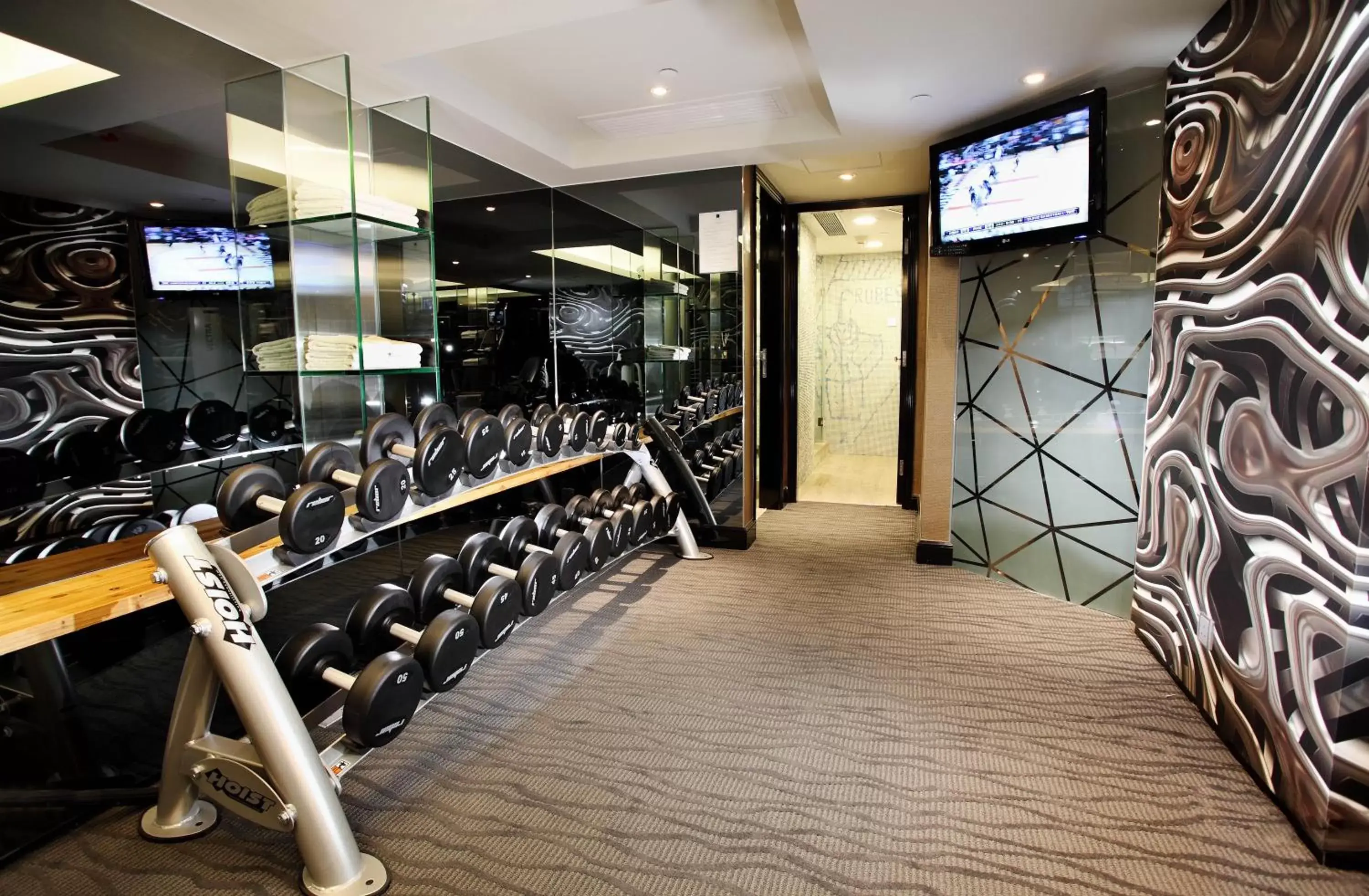 Fitness centre/facilities, Fitness Center/Facilities in The Luxe Manor