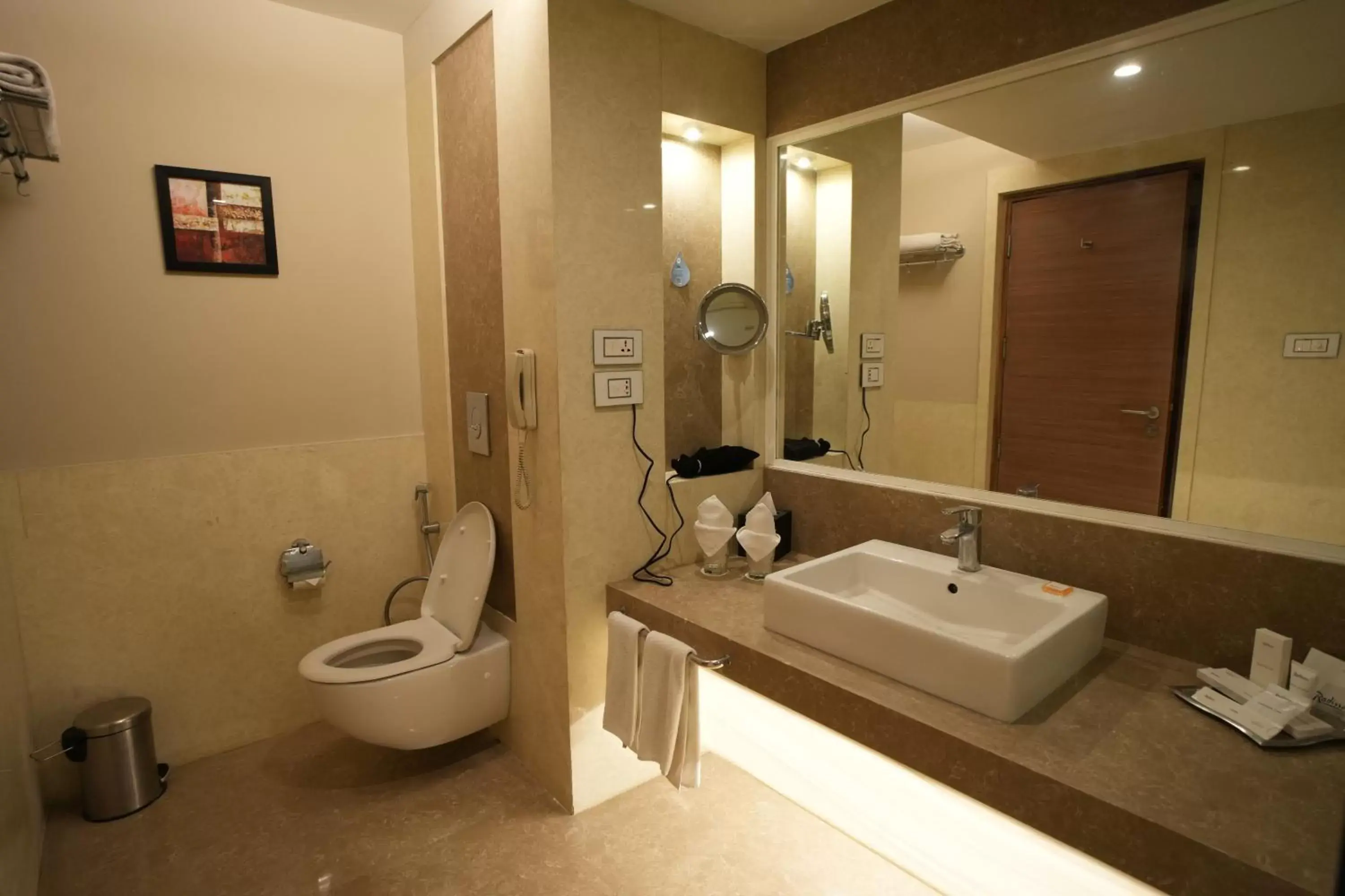 Bathroom in Radisson Udaipur