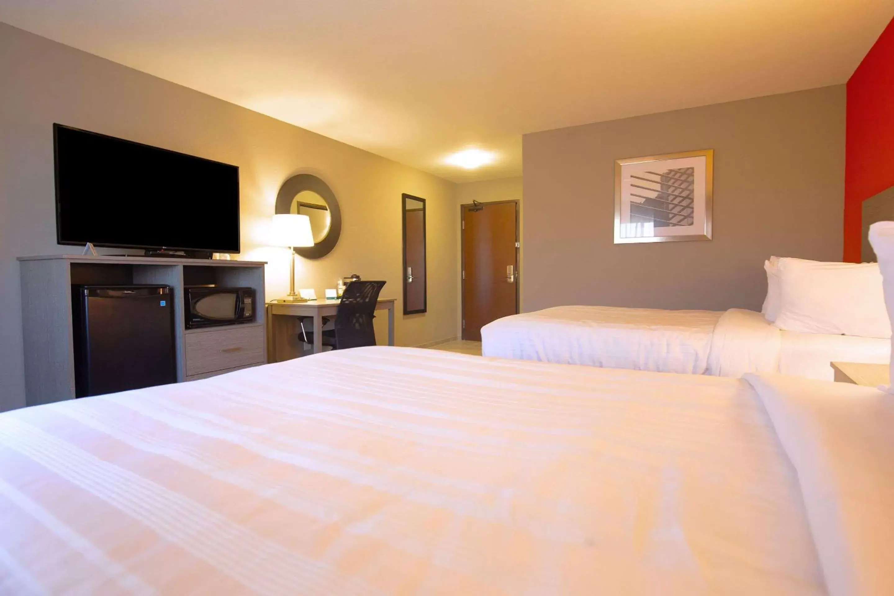 Photo of the whole room, Bed in Quality Inn & Suites