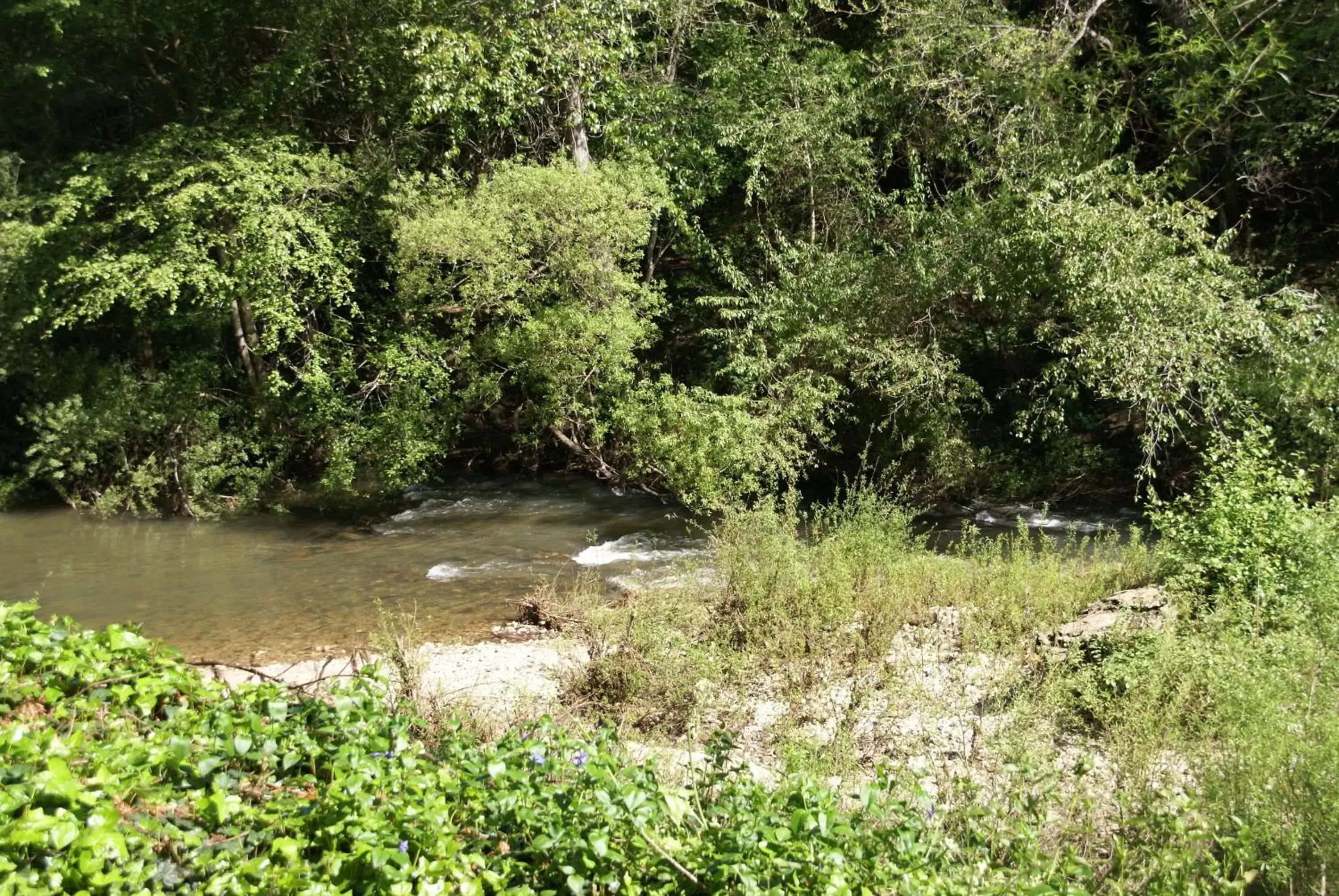 Beach in Fern River Resort