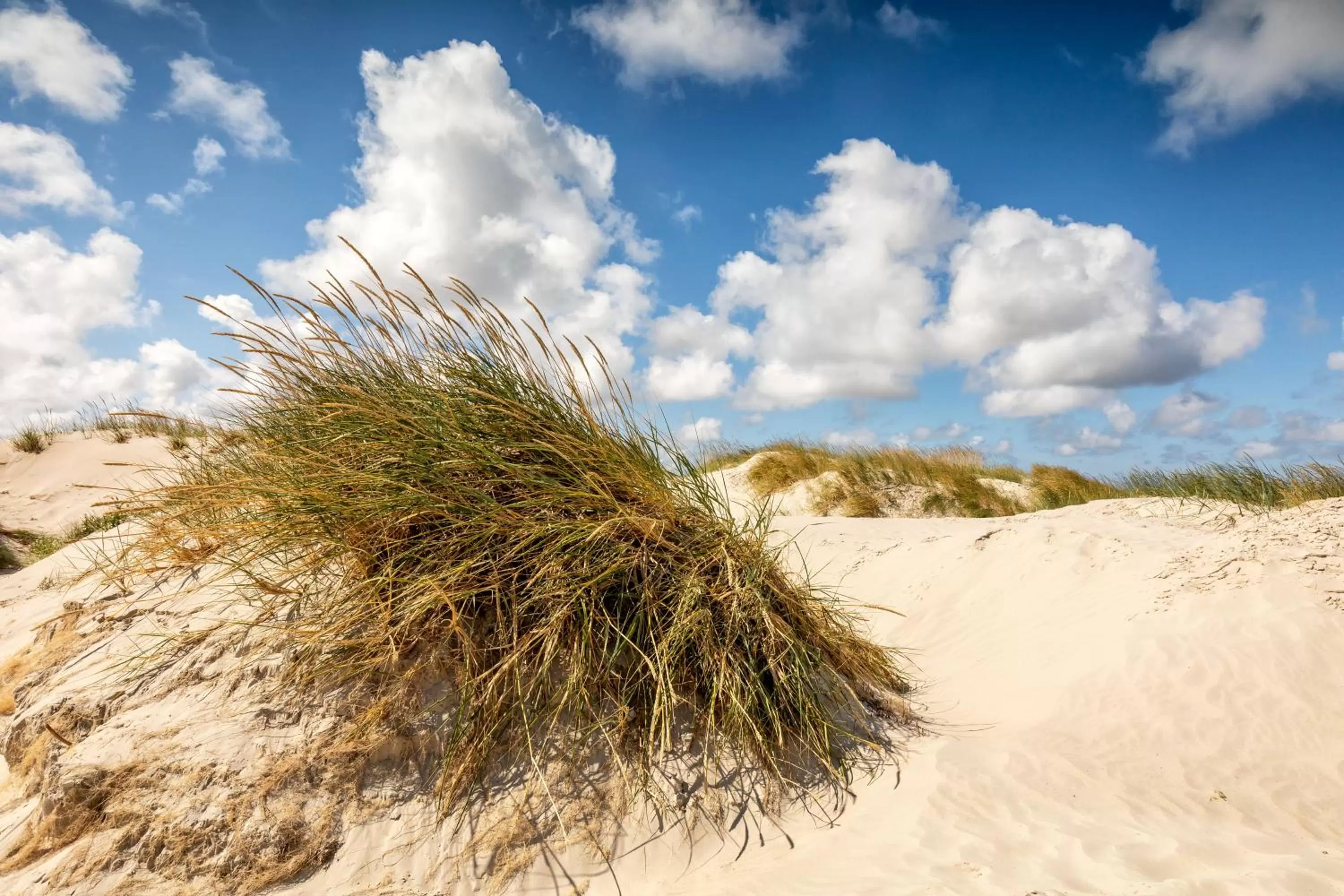 Beach in Hotel Zweite Heimat