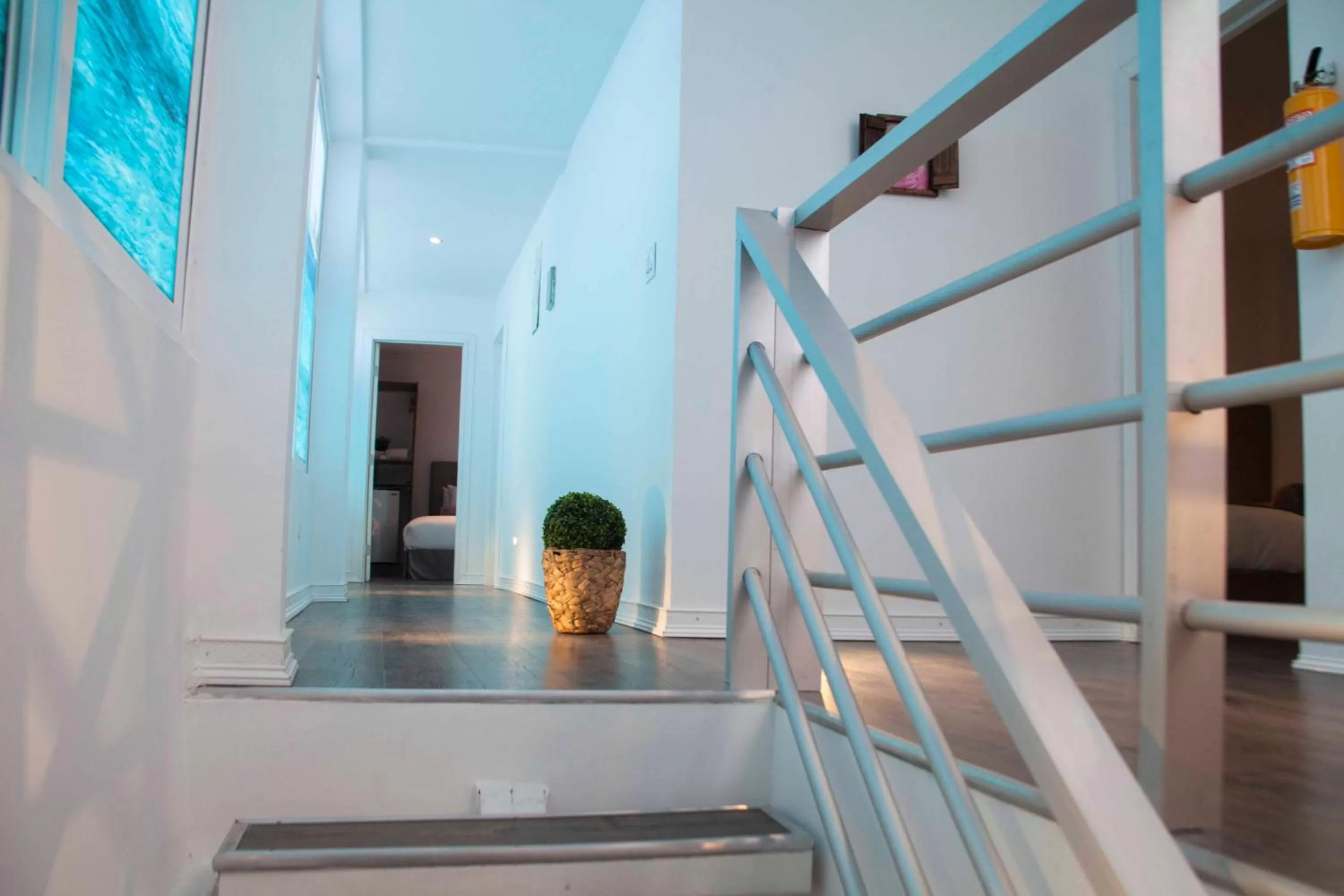 Area and facilities in Ataraxy Hotel Boutique