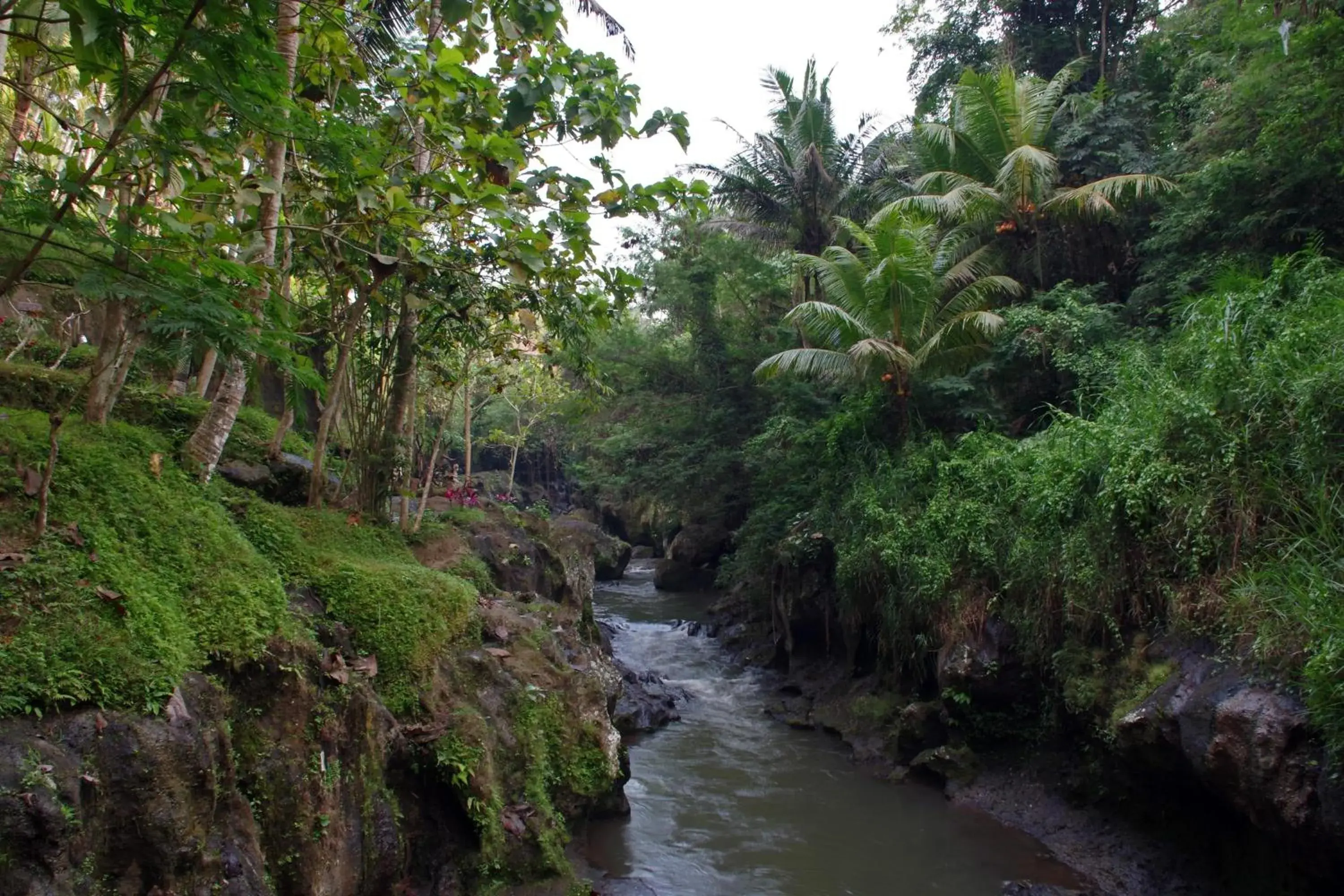 Natural Landscape in Ubad Retreat, A Local Family Run Hotel