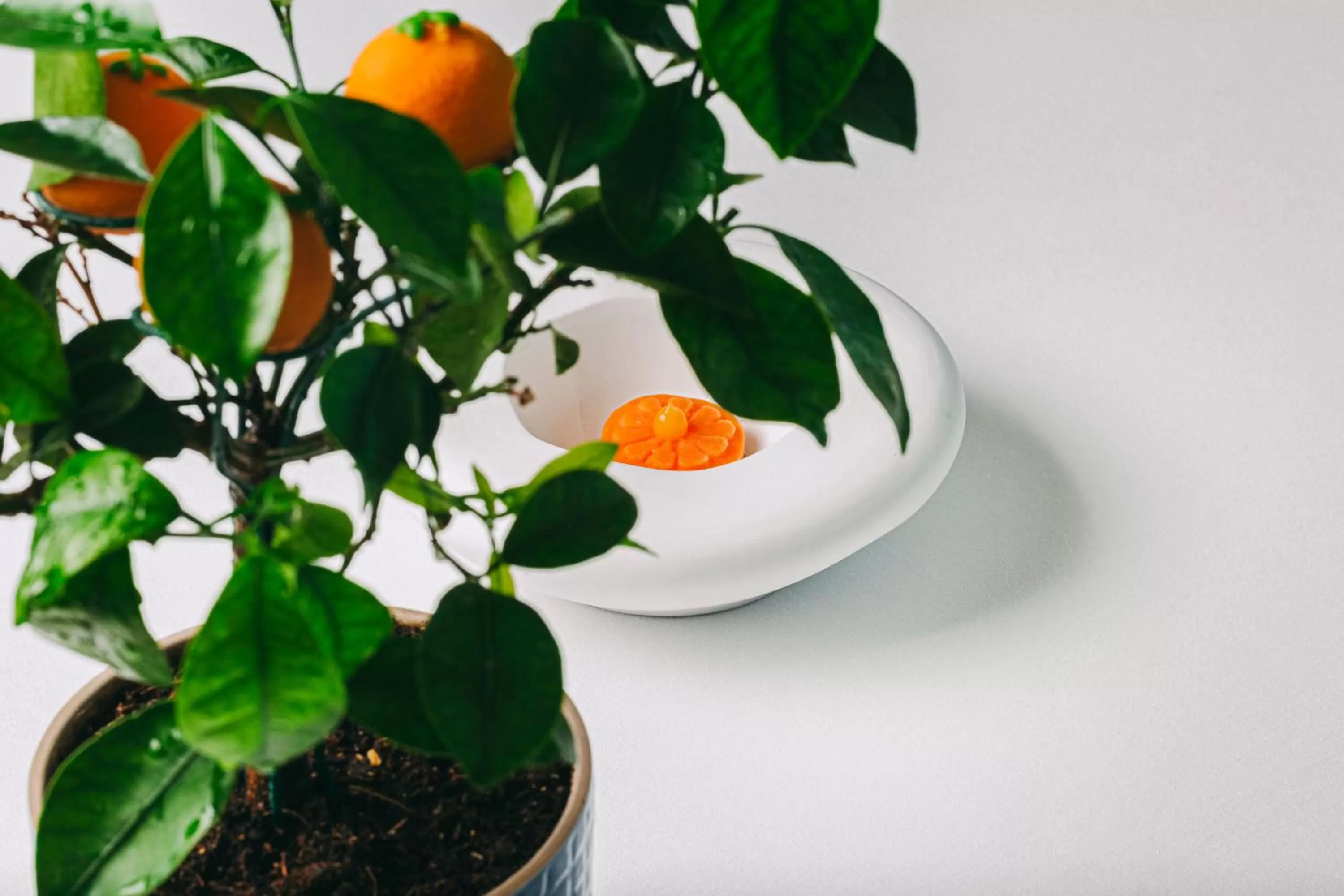 Restaurant/places to eat in Bela Vista Hotel & Spa - Relais & Chateaux