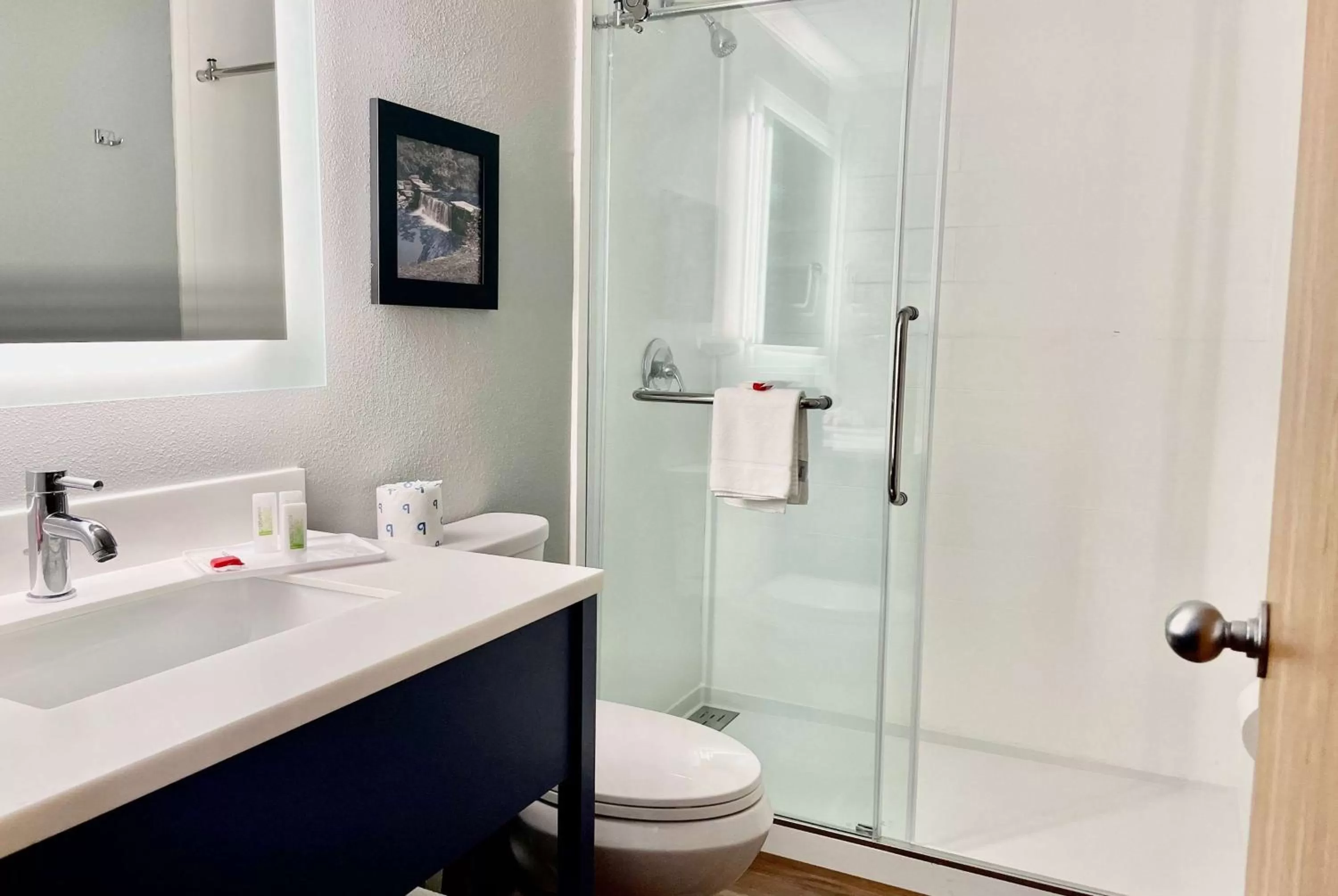 Toilet in AmericInn by Wyndham Branson & Conference Center