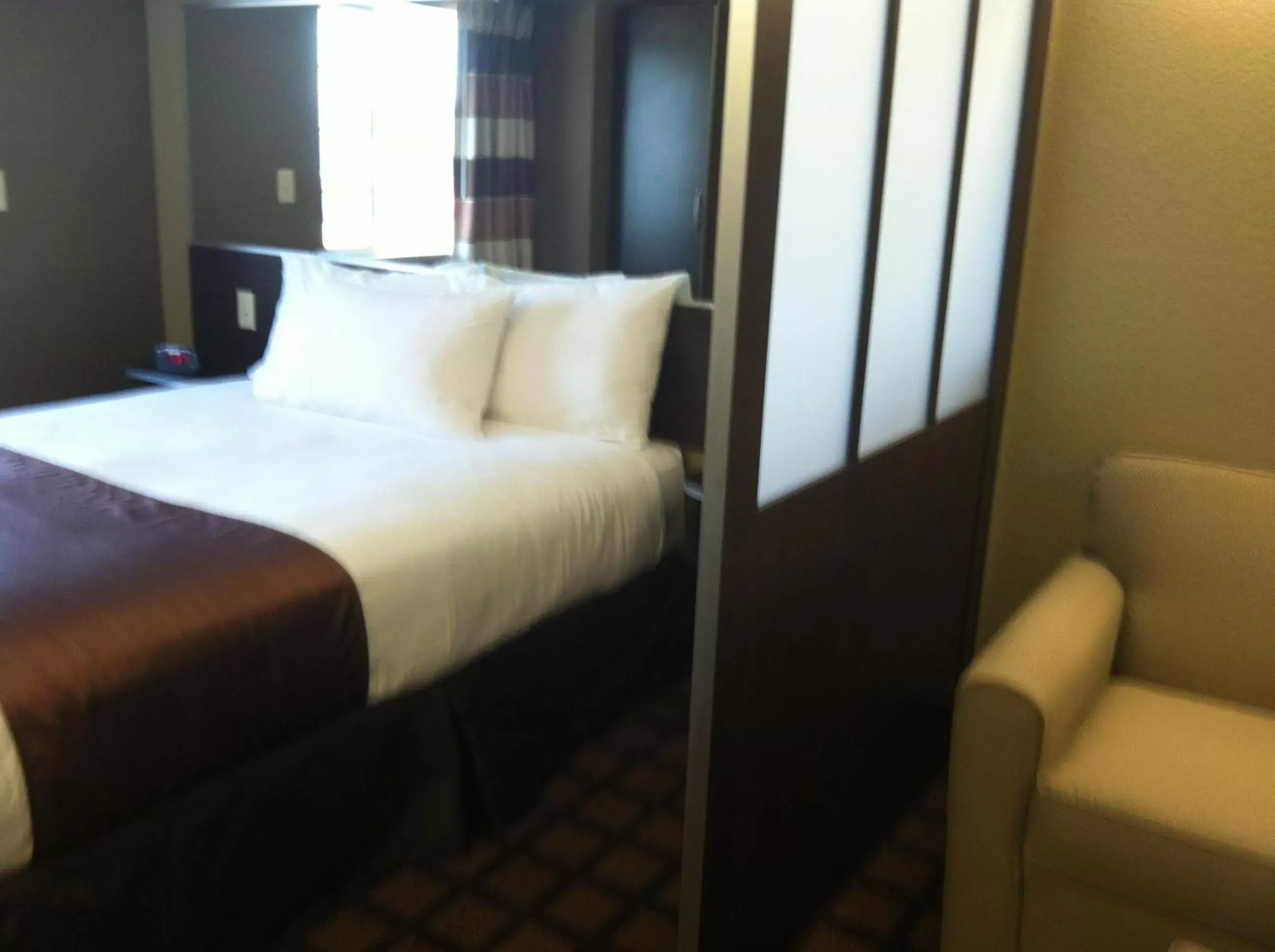 Bedroom, Bed in Microtel Inn & Suites Pleasanton
