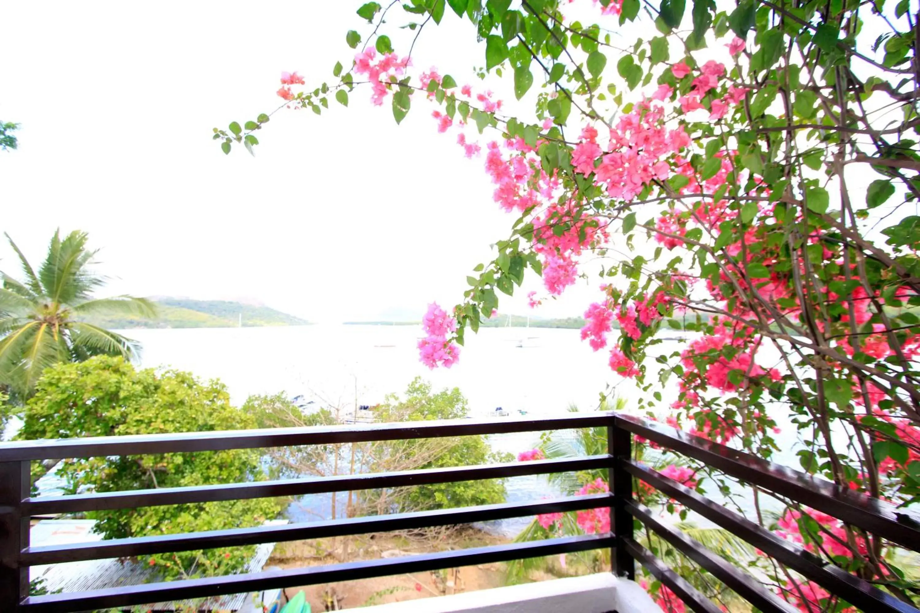 Balcony/Terrace in Discovery Island Resort