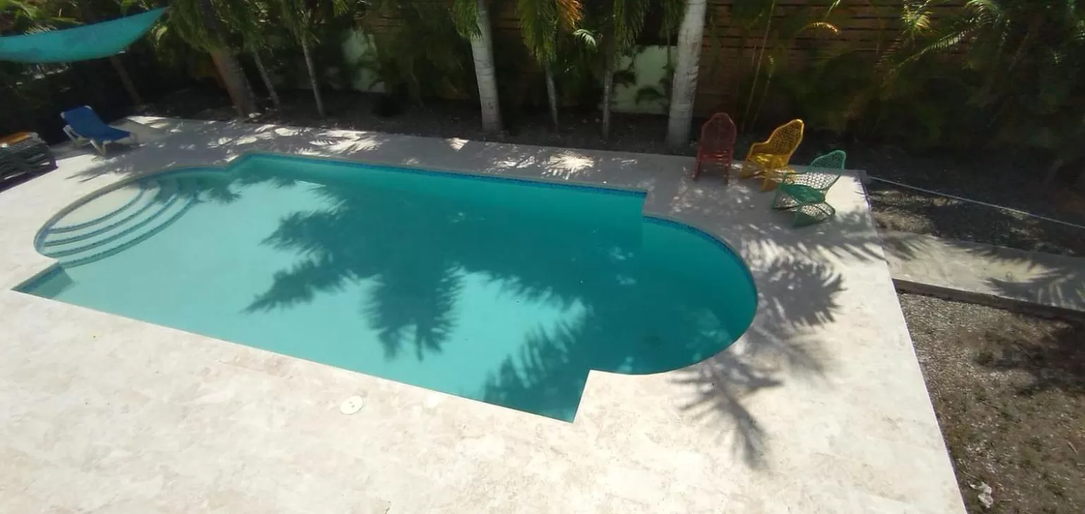Swimming pool in B&B Pavillion