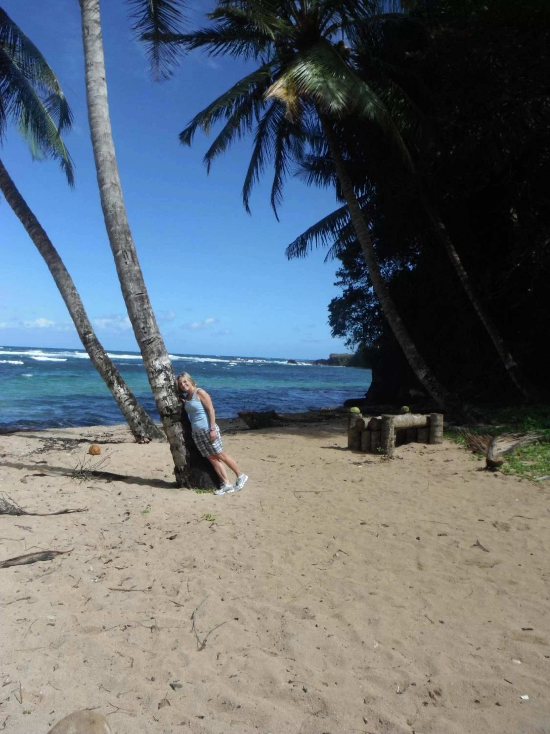 Suite in Classique International in Dominica