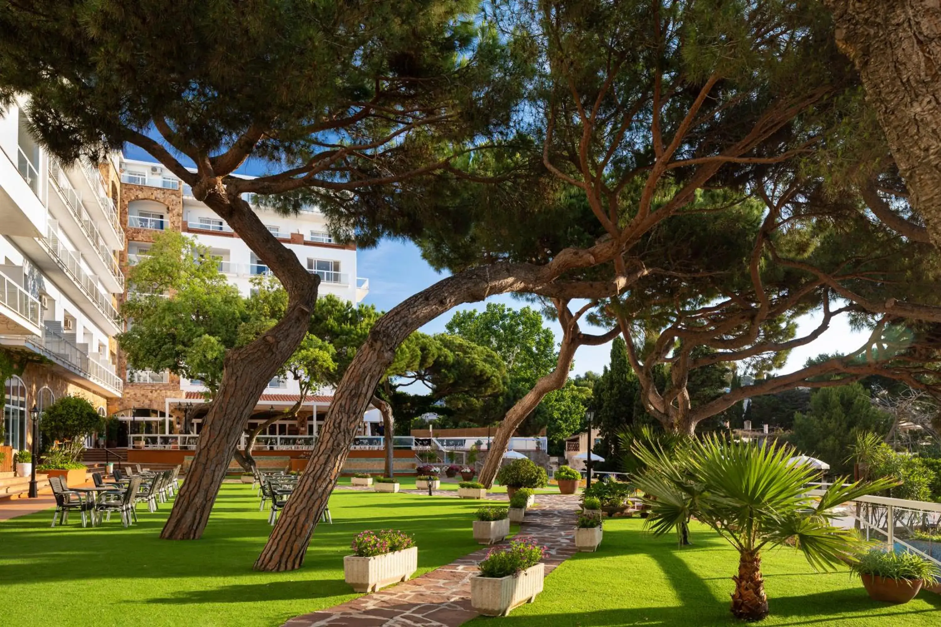 Garden in htop Caleta Palace