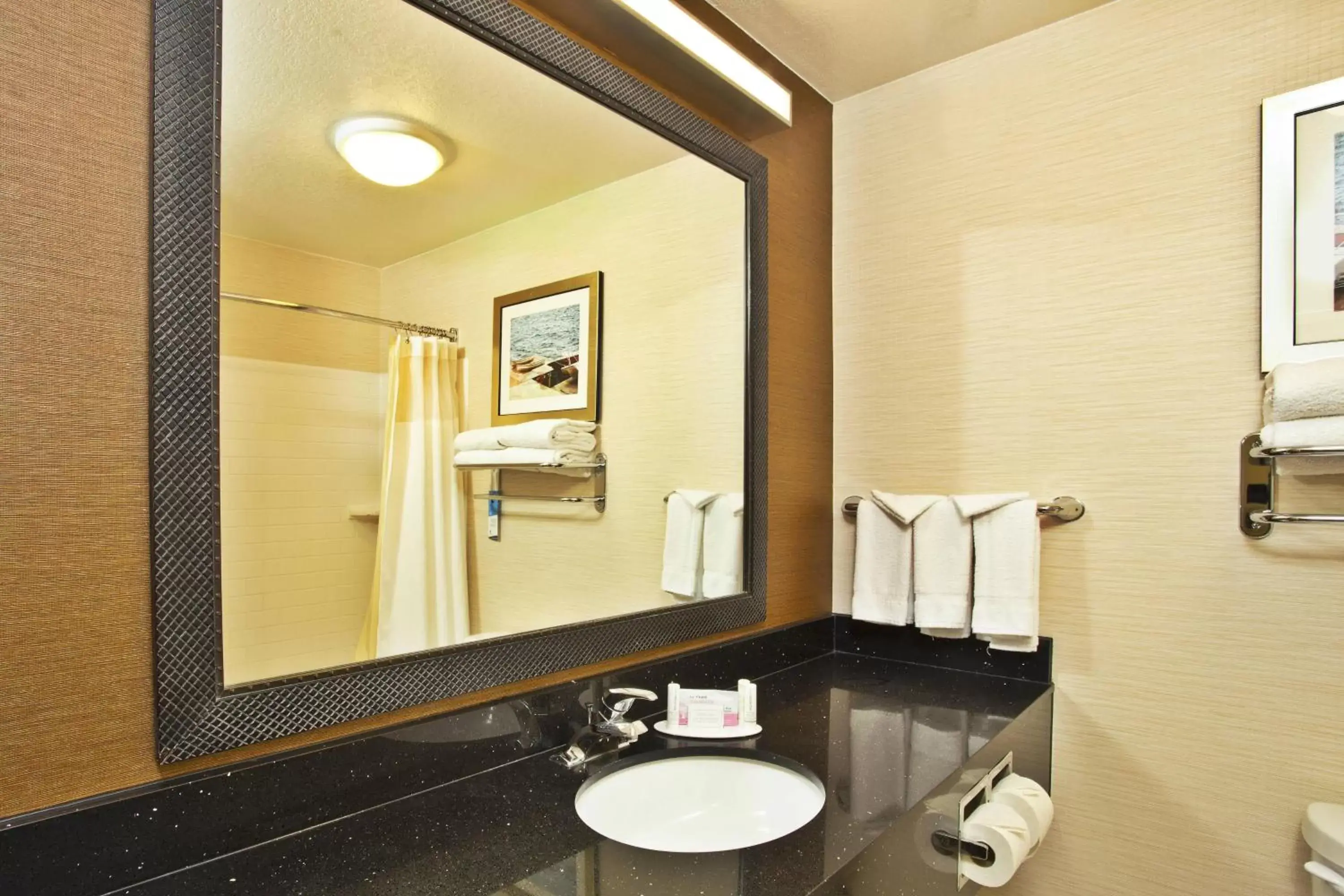 Bathroom in Fairfield Inn & Suites by Marriott Madison West/Middleton