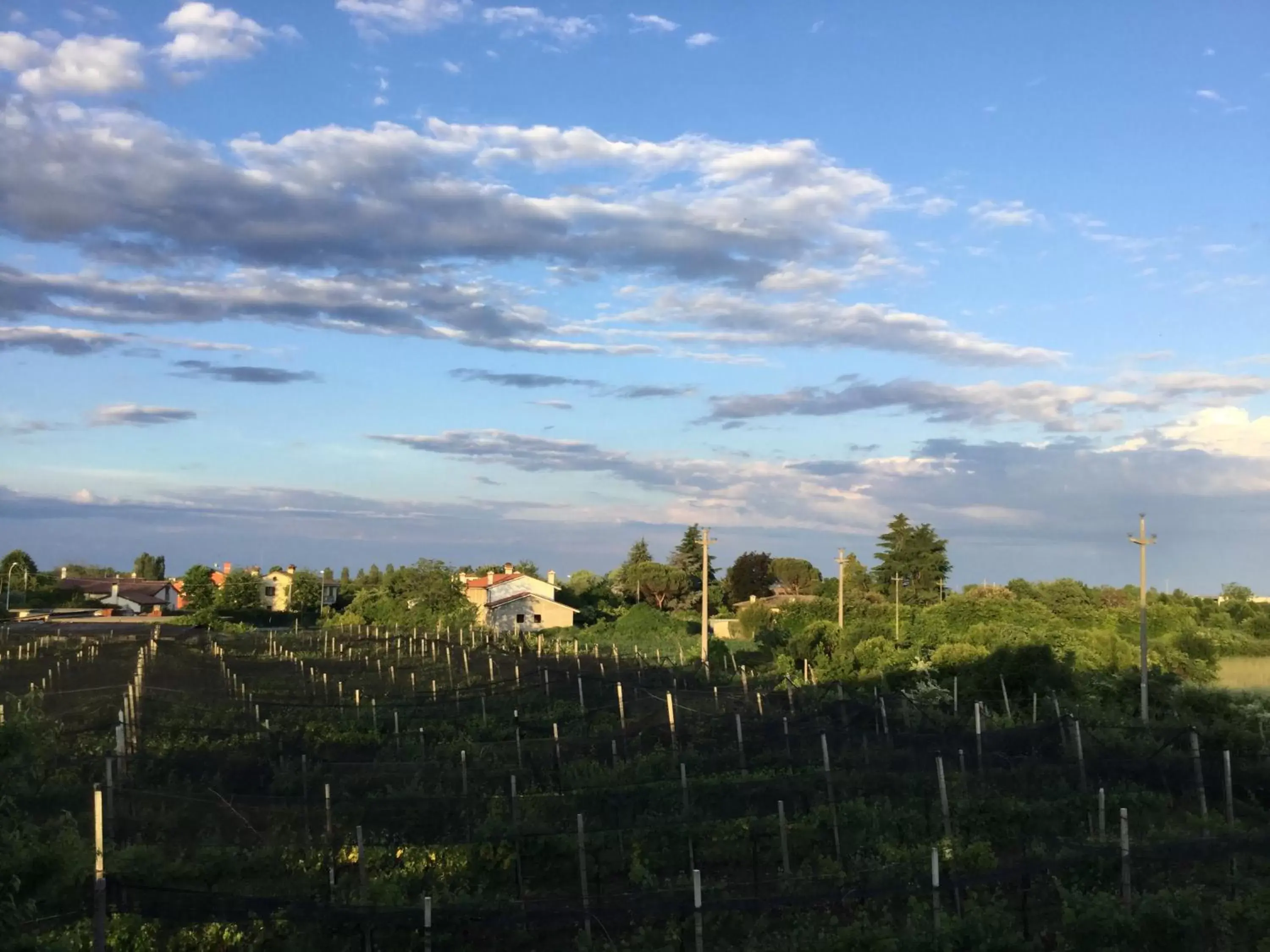 View (from property/room) in Albergo Grappolo D'oro