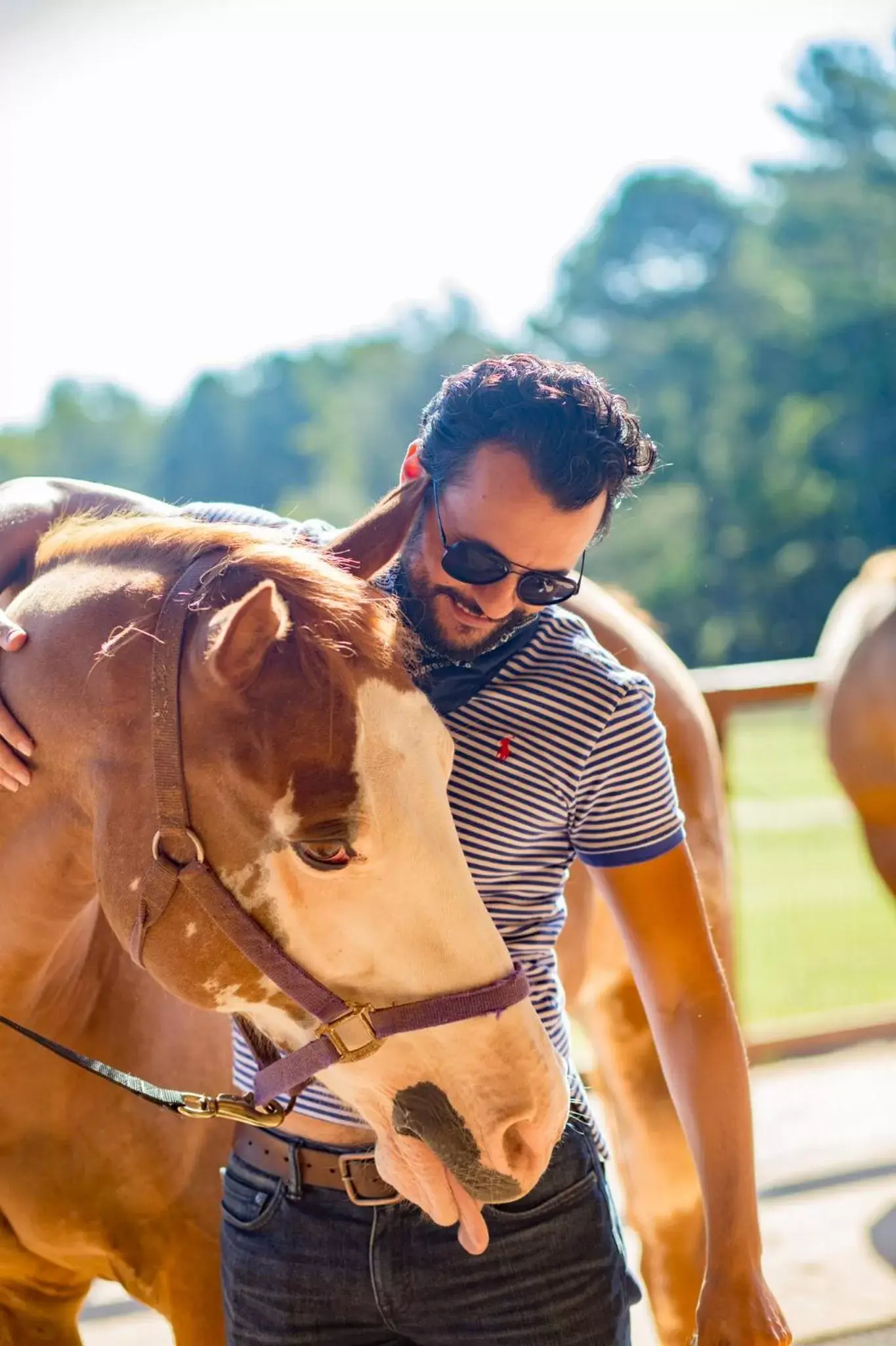 Southern Cross Guest Ranch Southern Cross Guest Ranch
