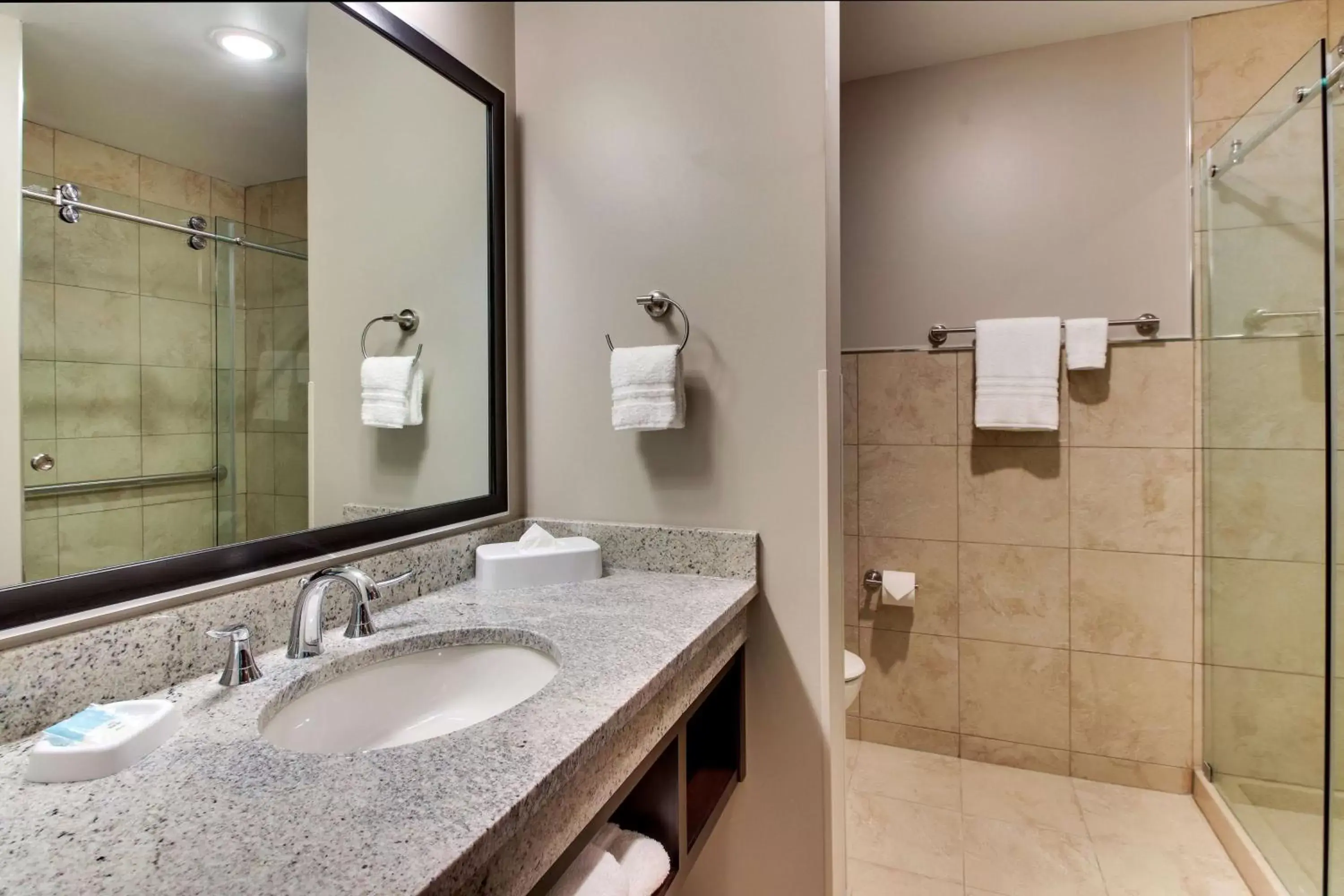 Bathroom in Drury Plaza Hotel Dallas Richardson