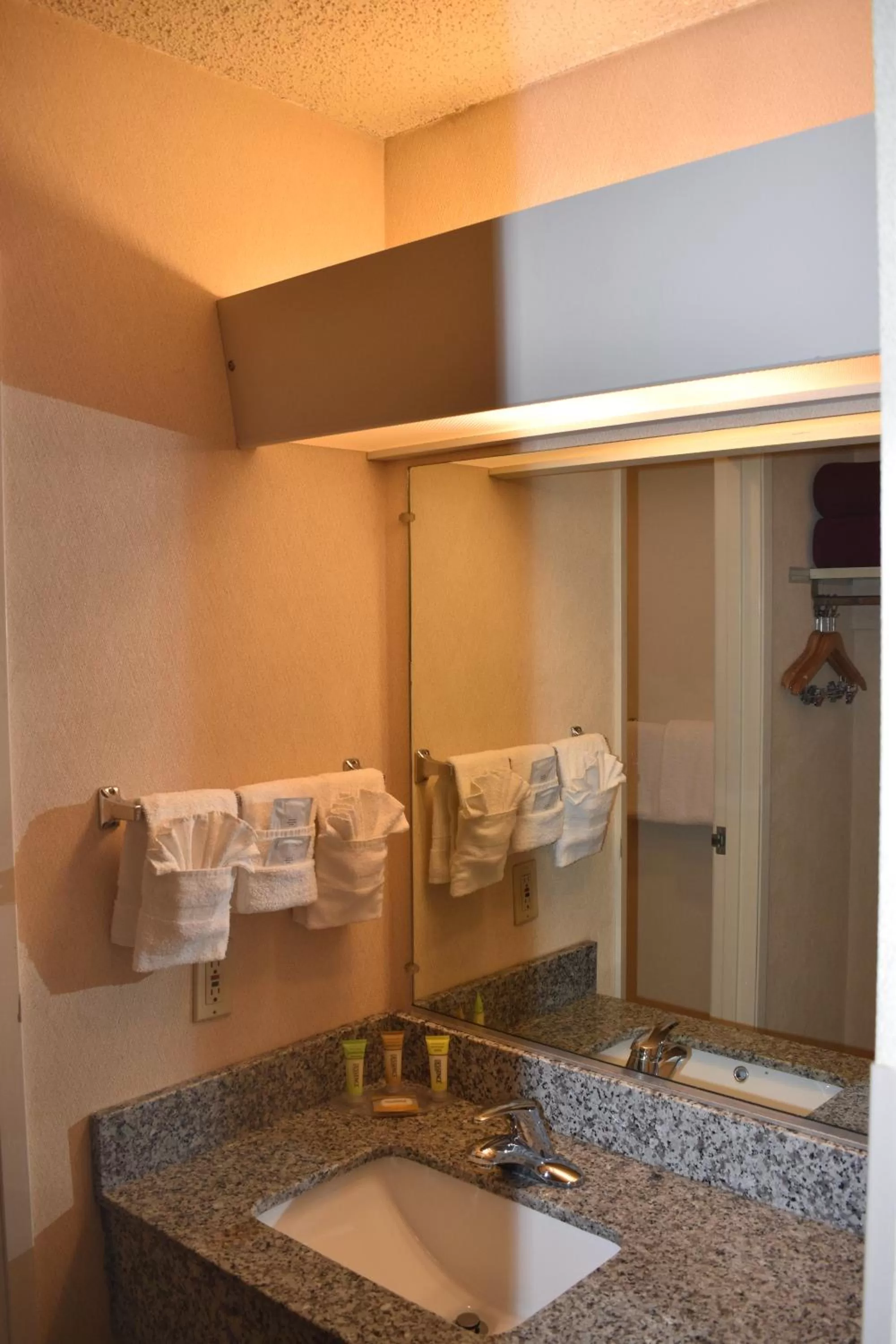 Bathroom in Inn at the Convention Center