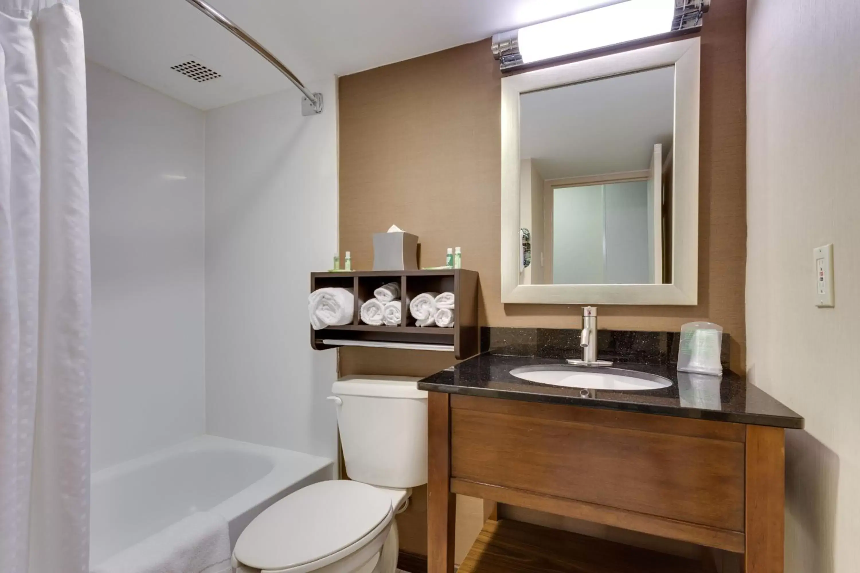 Bathroom in Holiday Inn Express Washington DC SW - Springfield, an IHG Hotel