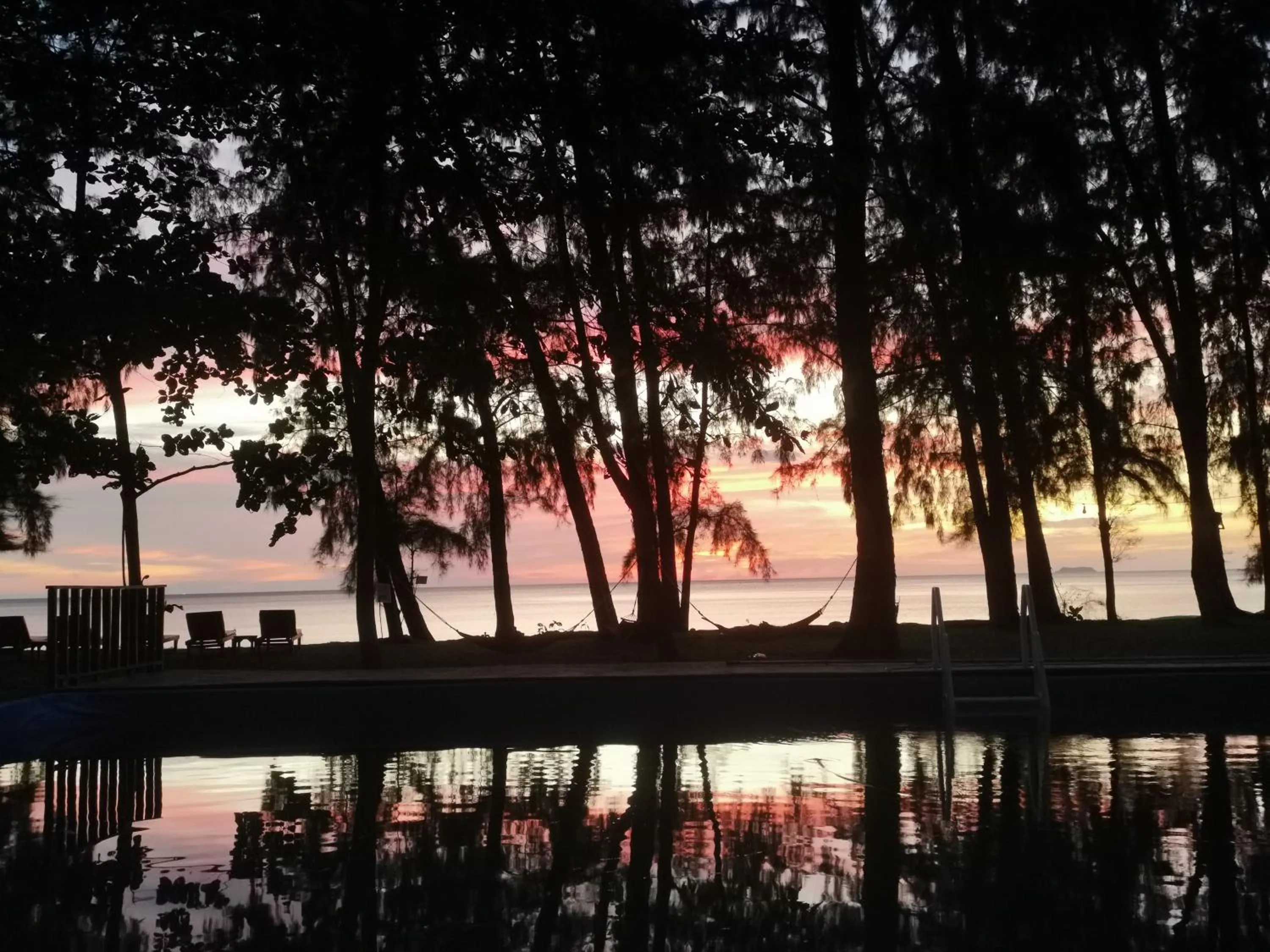 Natural landscape in Eco Lanta Hideaway Beach Resort