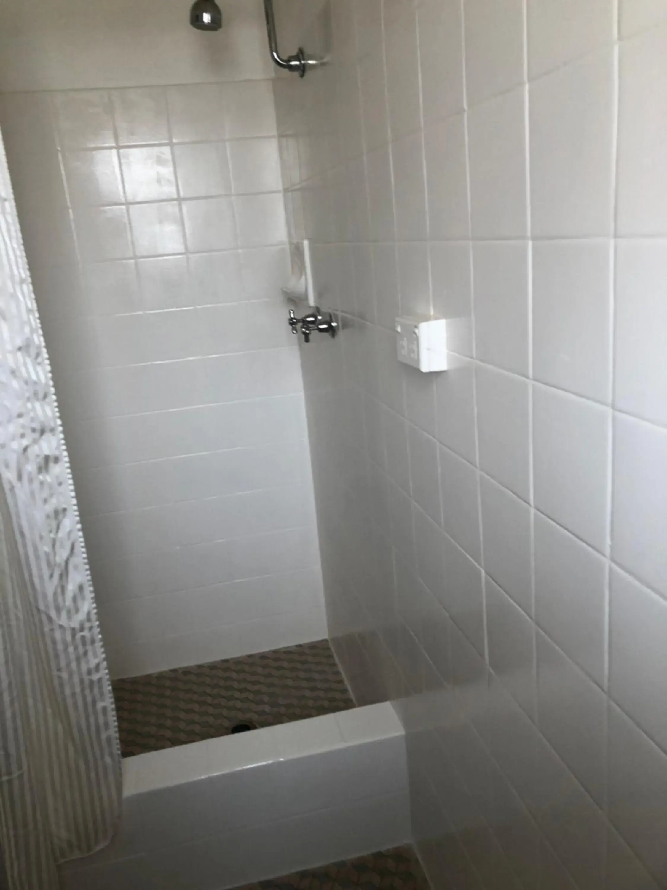 Shower, Bathroom in Inverell Motel