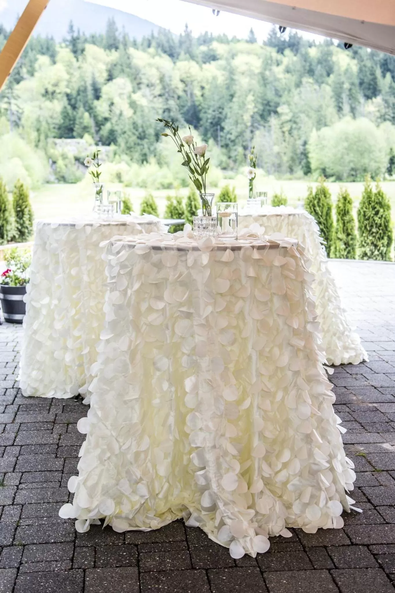 Patio in Executive Suites Hotel and Resort, Squamish