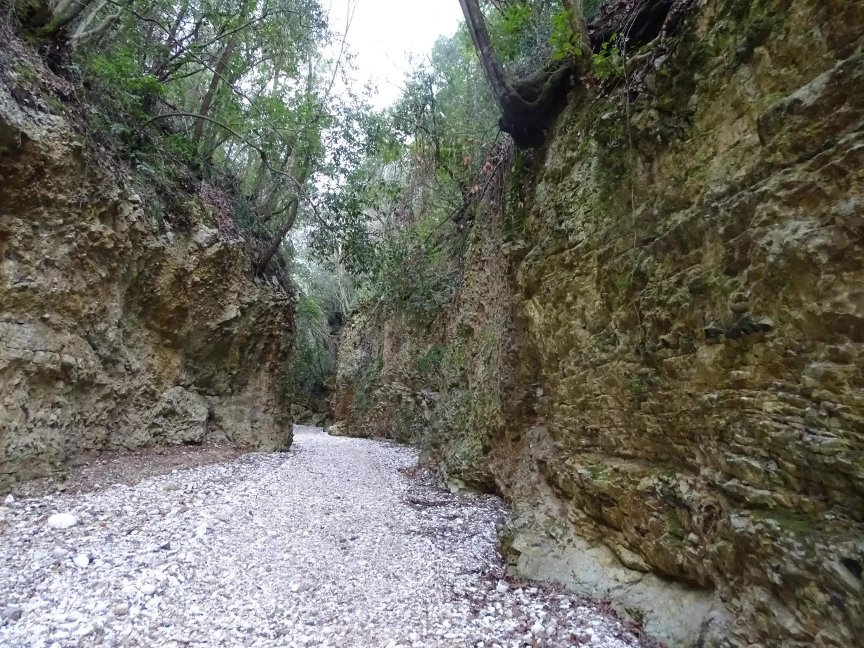 Hiking, Natural Landscape in Villa Biancofiore