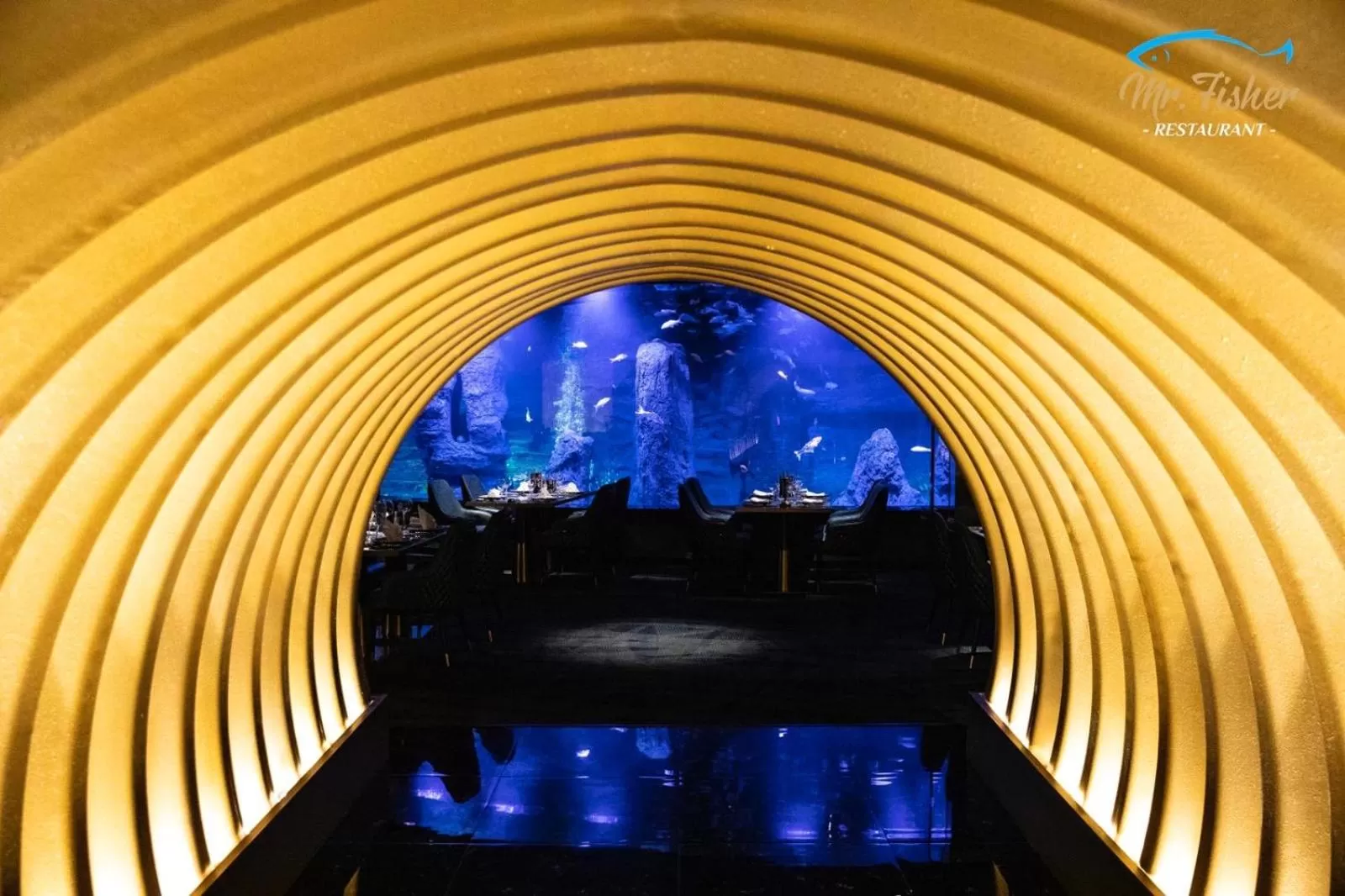 Restaurant/places to eat in Hotel Diamond Prishtina