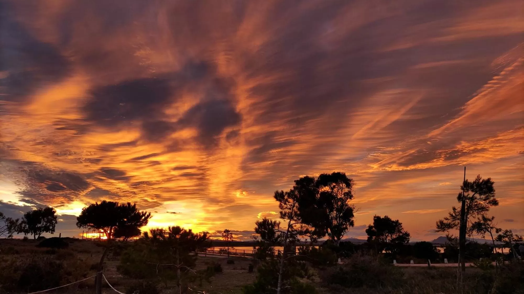 Natural landscape in Lloyds Beach Club