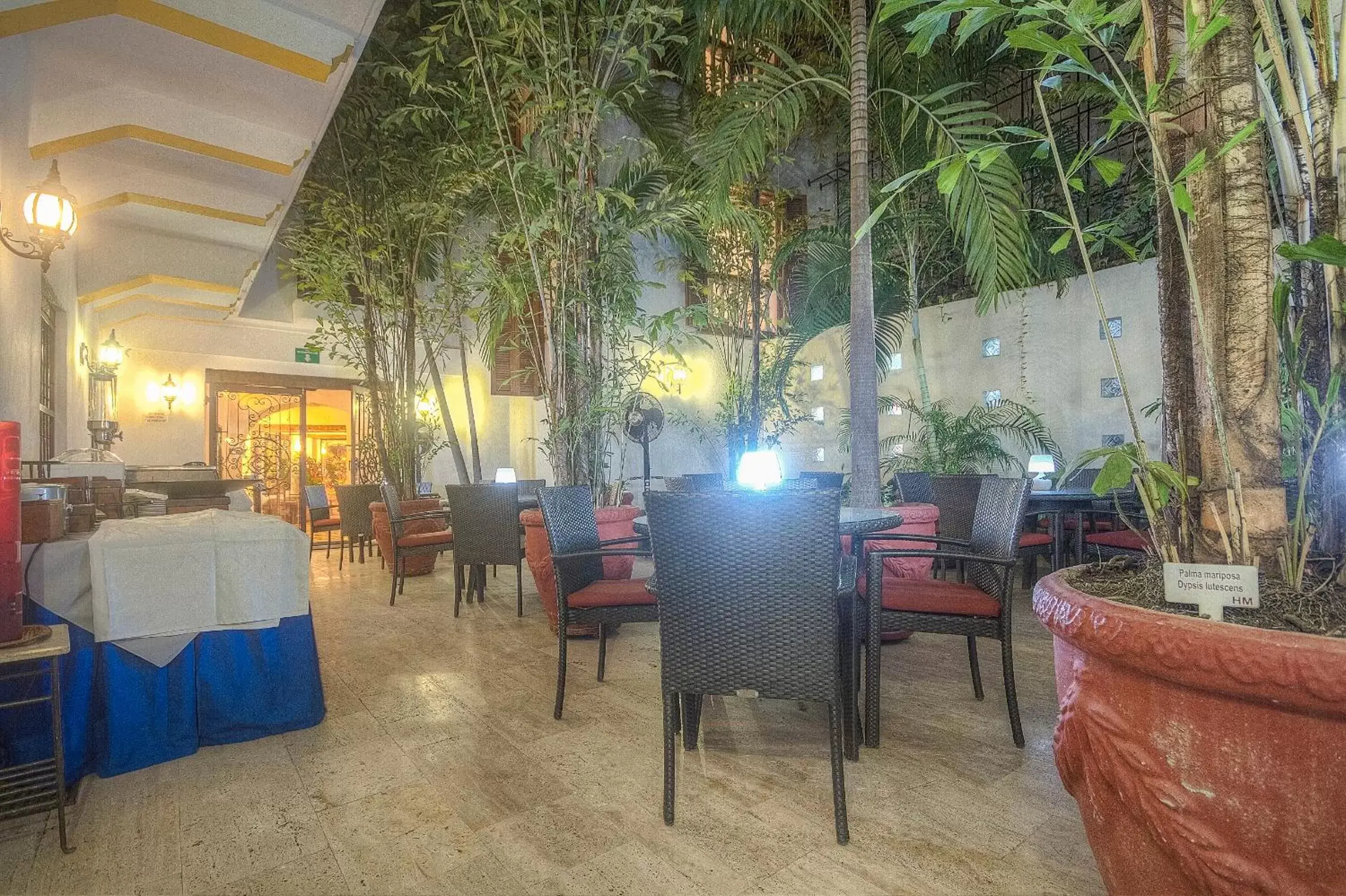 Patio, Restaurant/Places to Eat in Hotel Monterrey