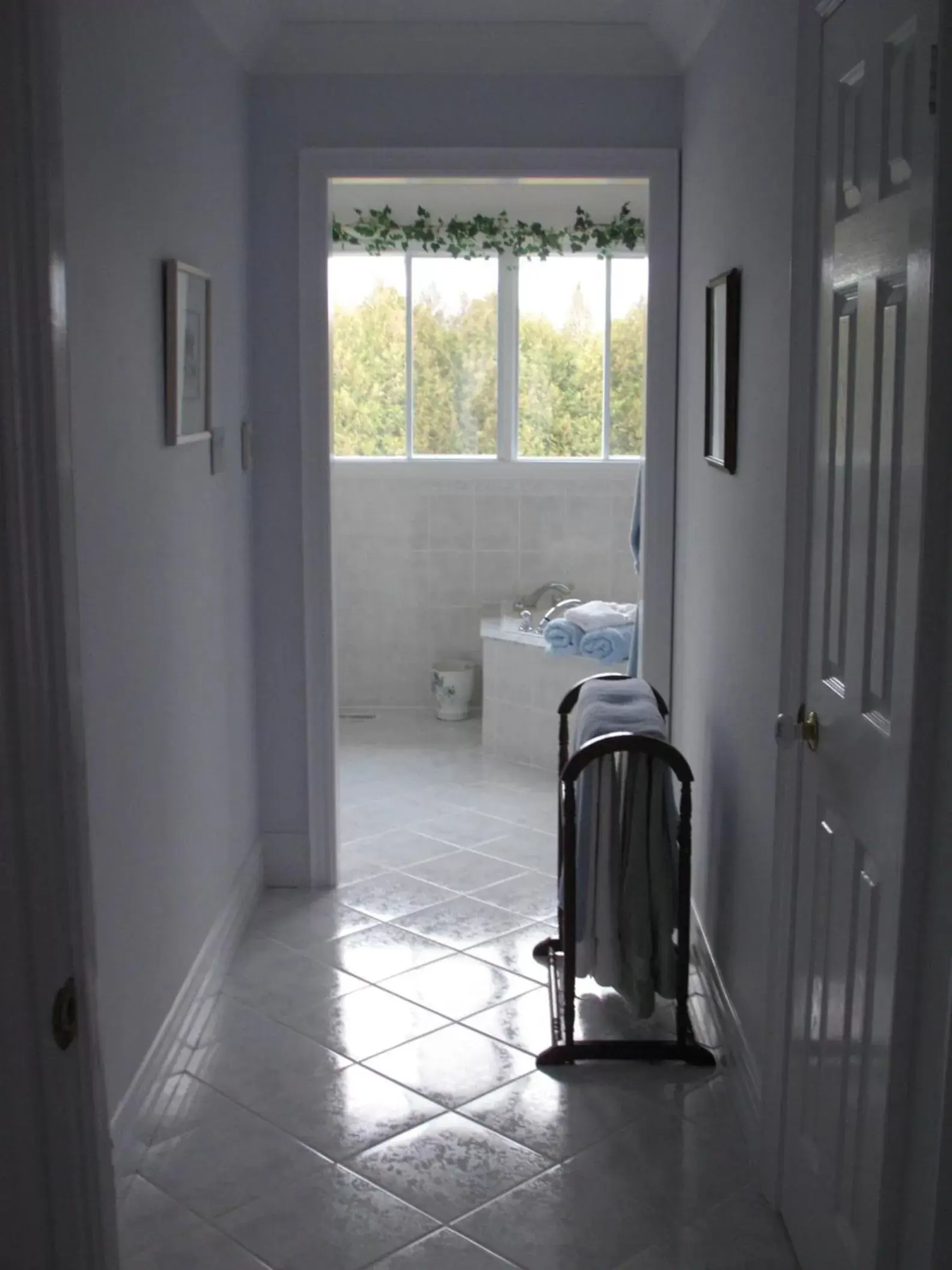 Shower, Kitchen/Kitchenette in Molly's Retreat B and B