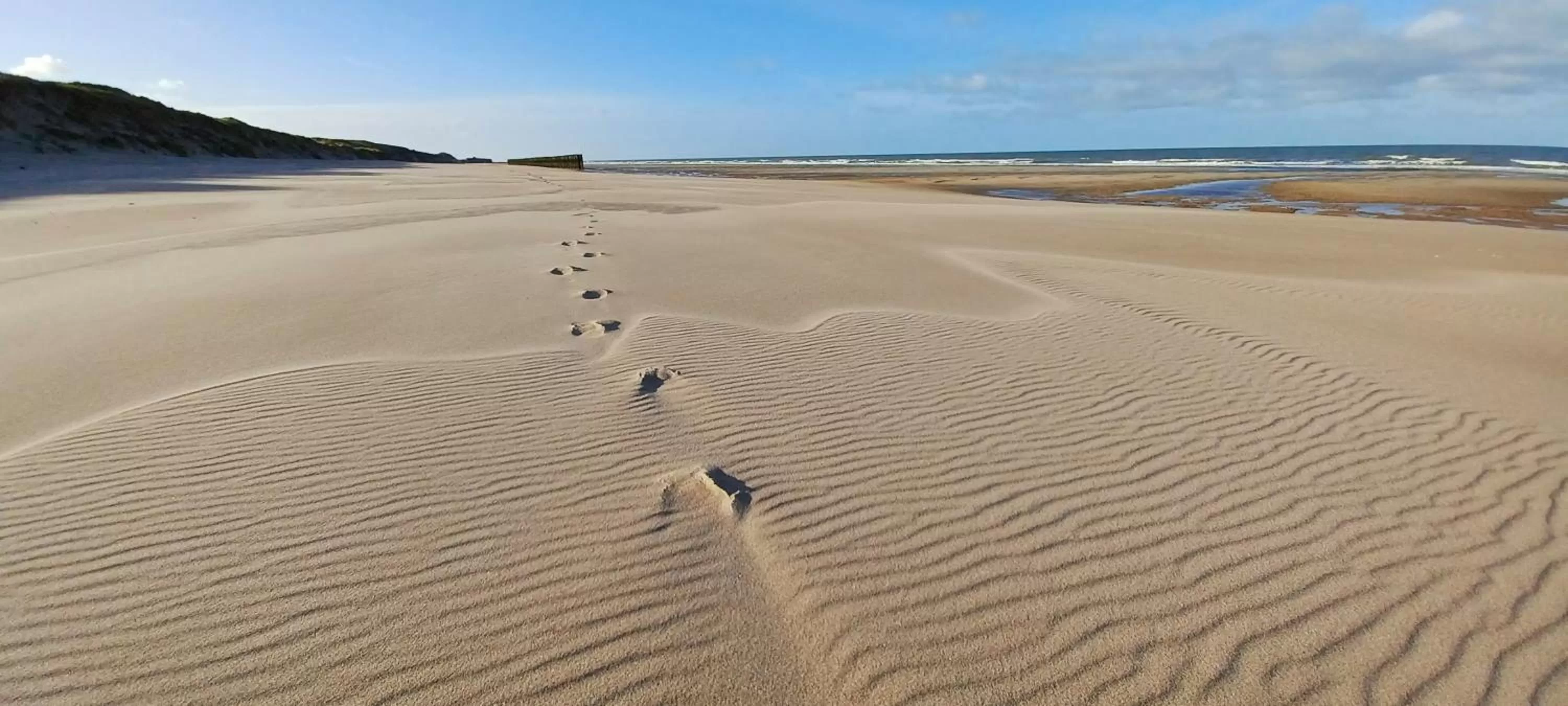 Beach in La Carte Postale