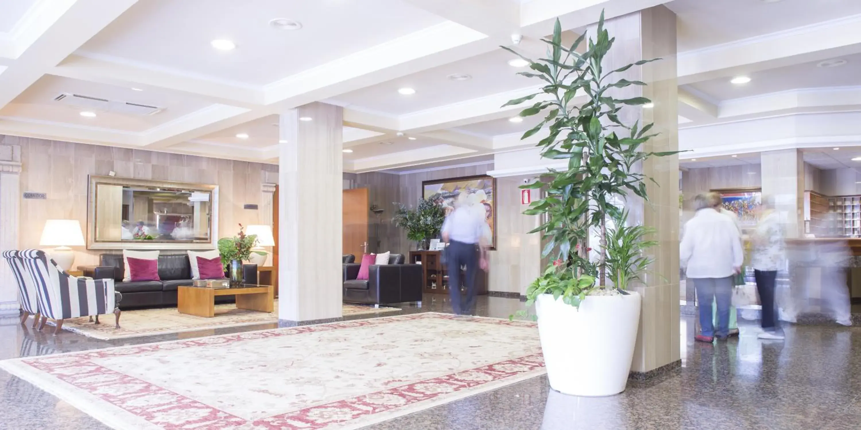 Lobby or reception, Lobby/Reception in Nuevo Astur Spa