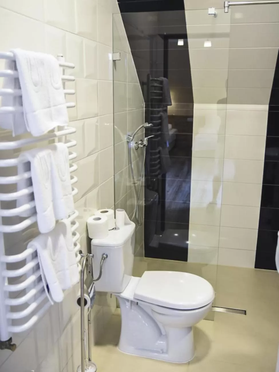 Shower in Willa Szczepaniakówka