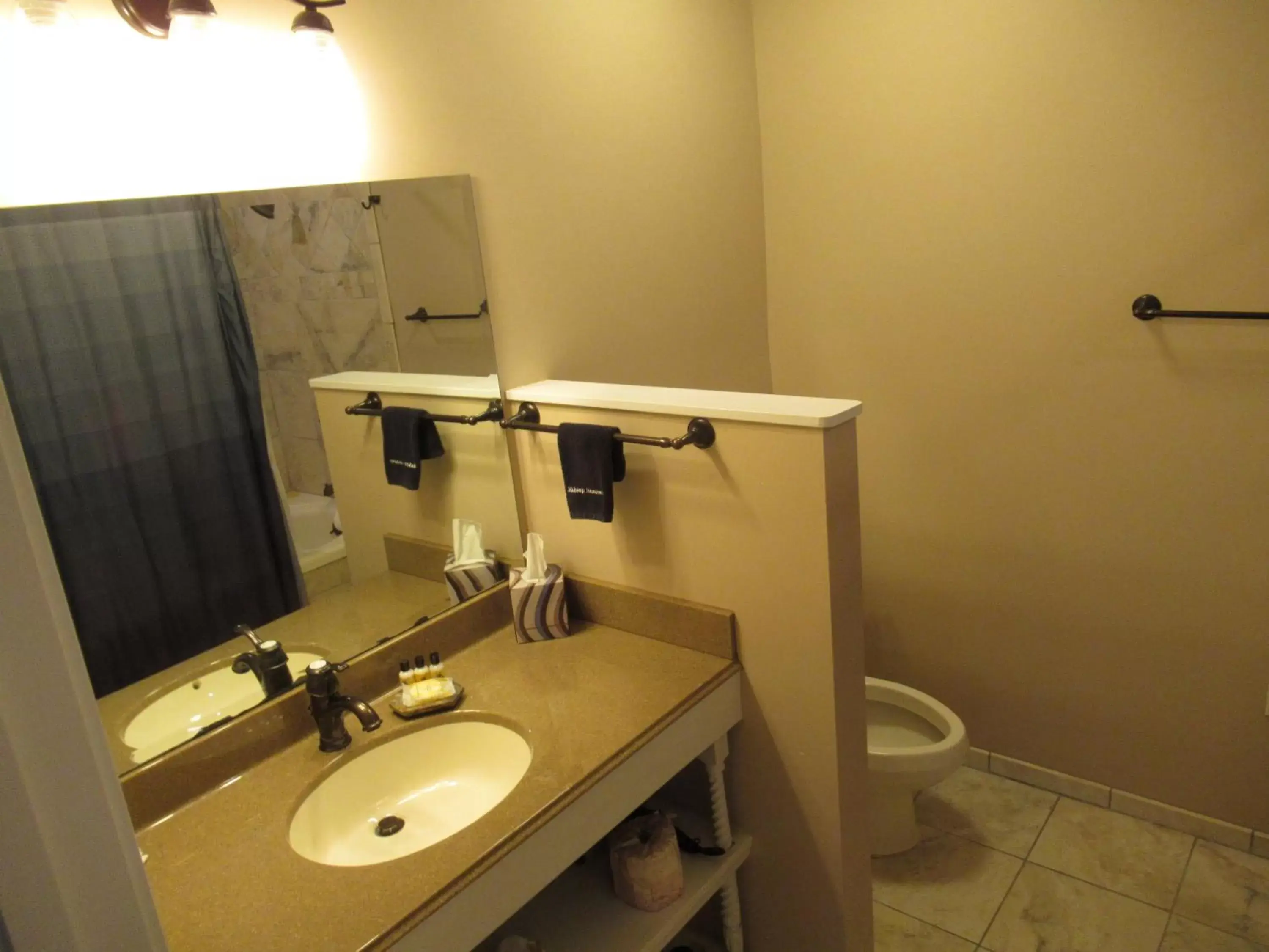 Bathroom in Carrier Houses Bed & Breakfast