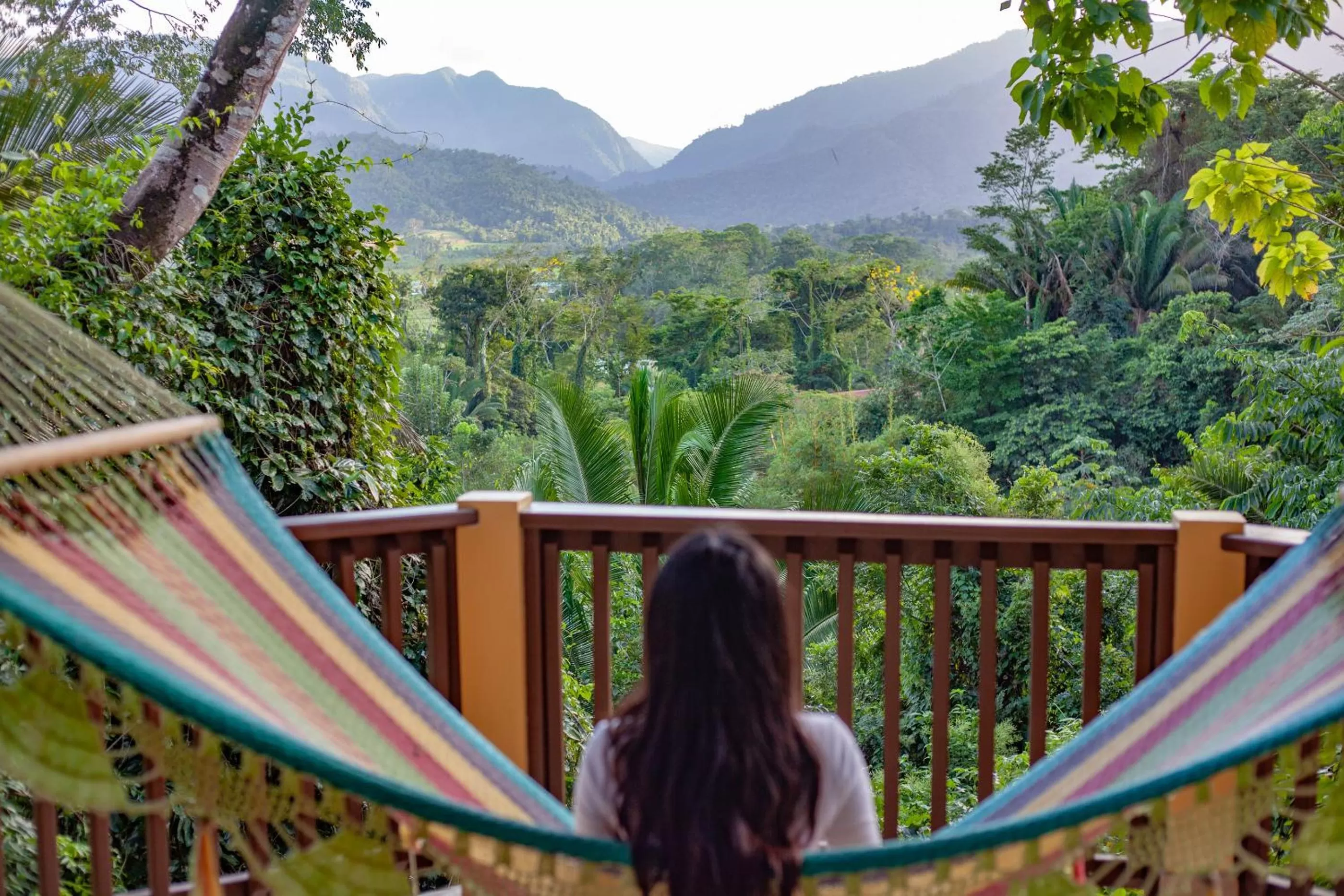 View (from property/room) in Sleeping Giant Rainforest Lodge