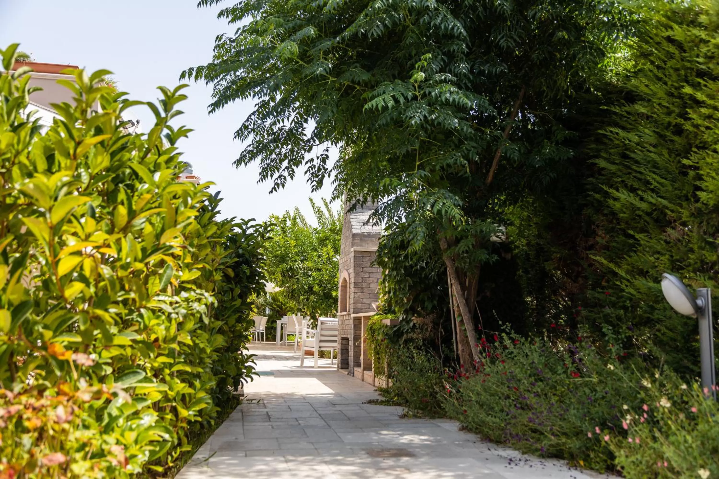 Breakfast in La Collina di Montegrappa - Suites with Heated Private Pool - Suites with Shared Pool