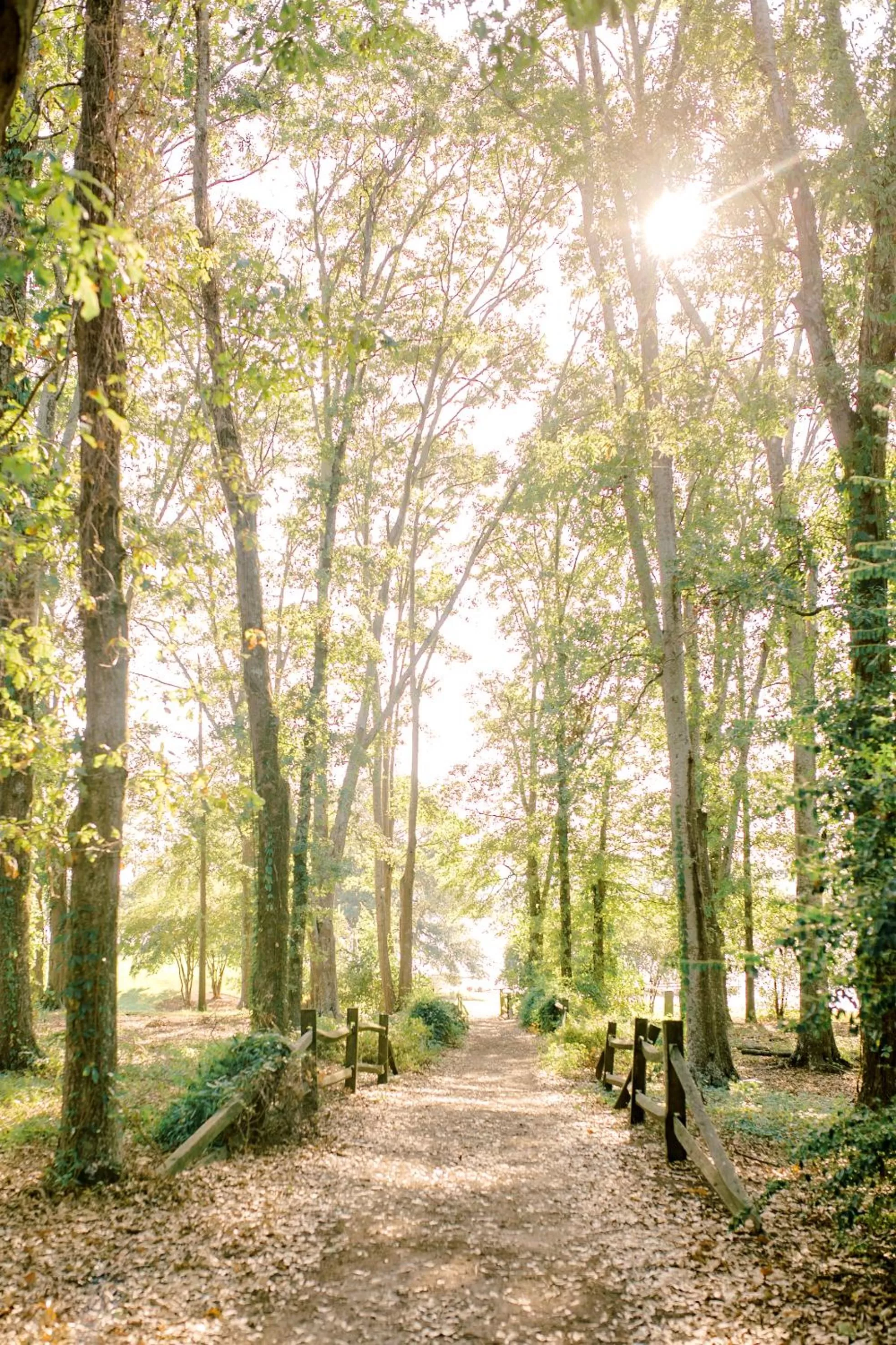 Garden in James F. Martin Inn