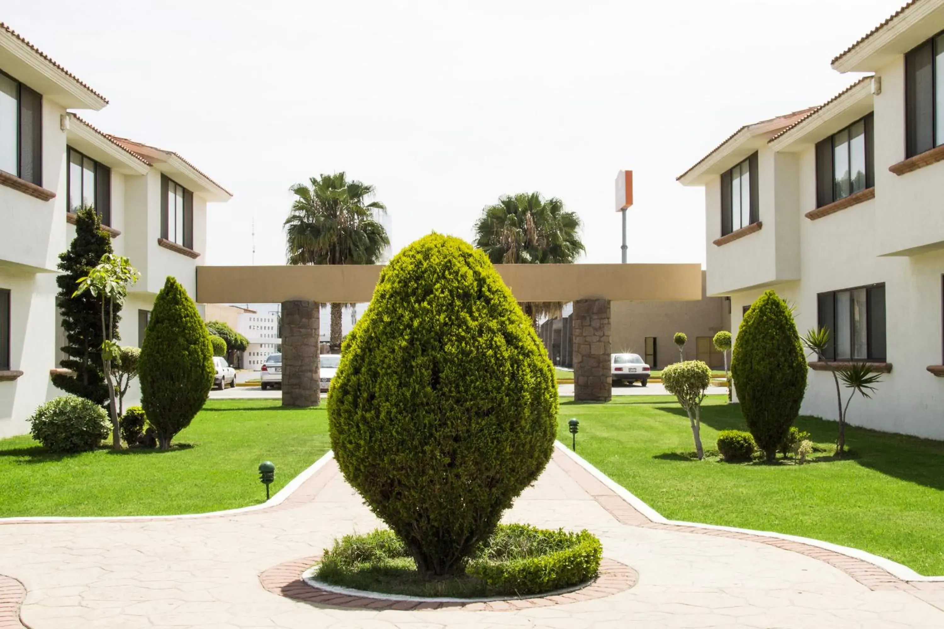 Garden in La Posada Hotel y Suites