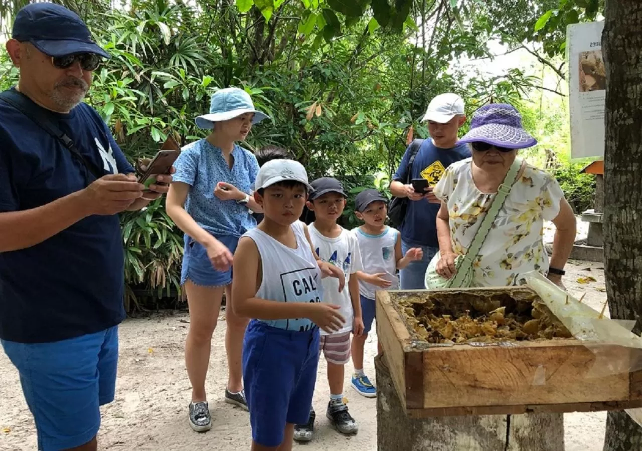 Area and facilities in Frangipani Langkawi Resort