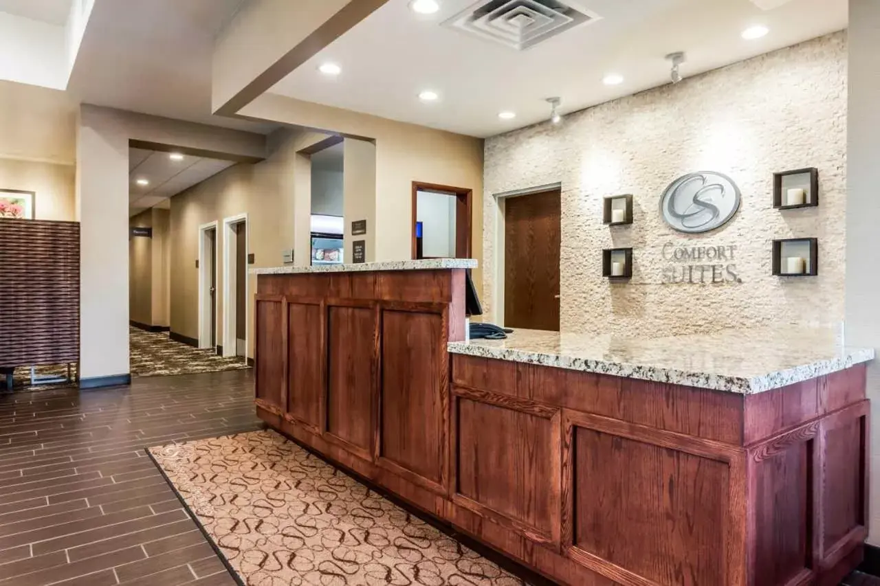 Lobby or reception, Lobby/Reception in Comfort Suites Brookings