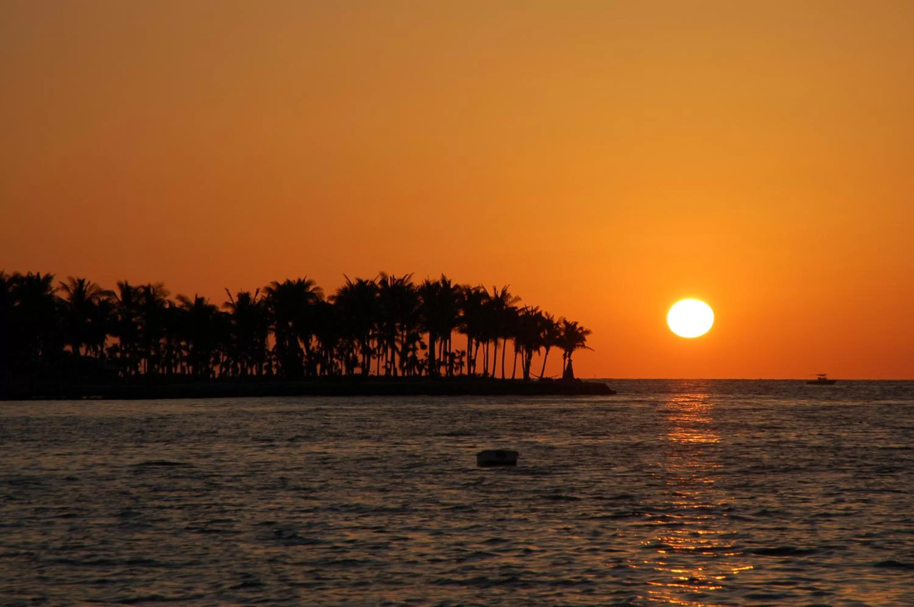 Natural landscape in Tranquility Bay Resort