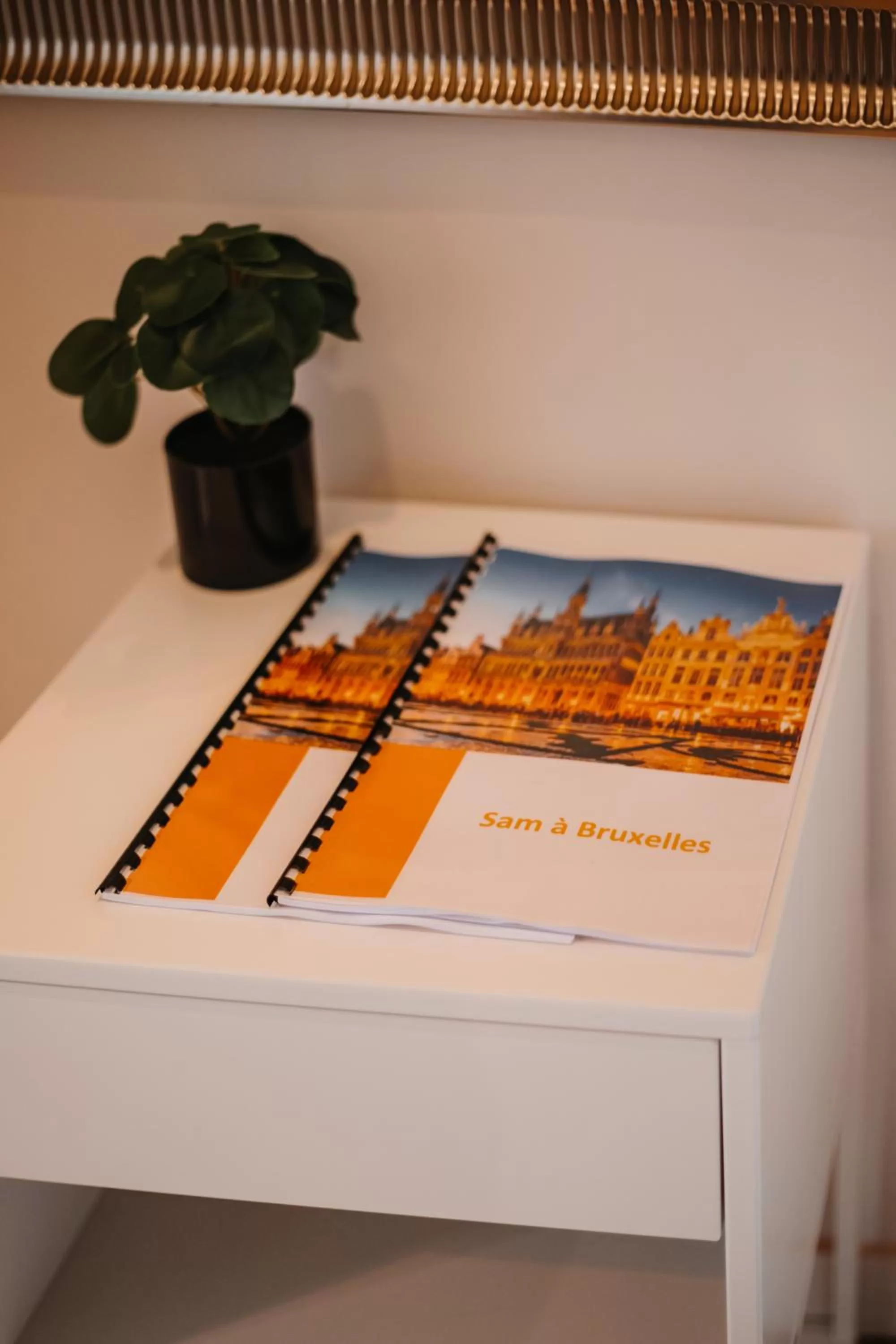 Lobby or reception in Central and Cozy in Brussels