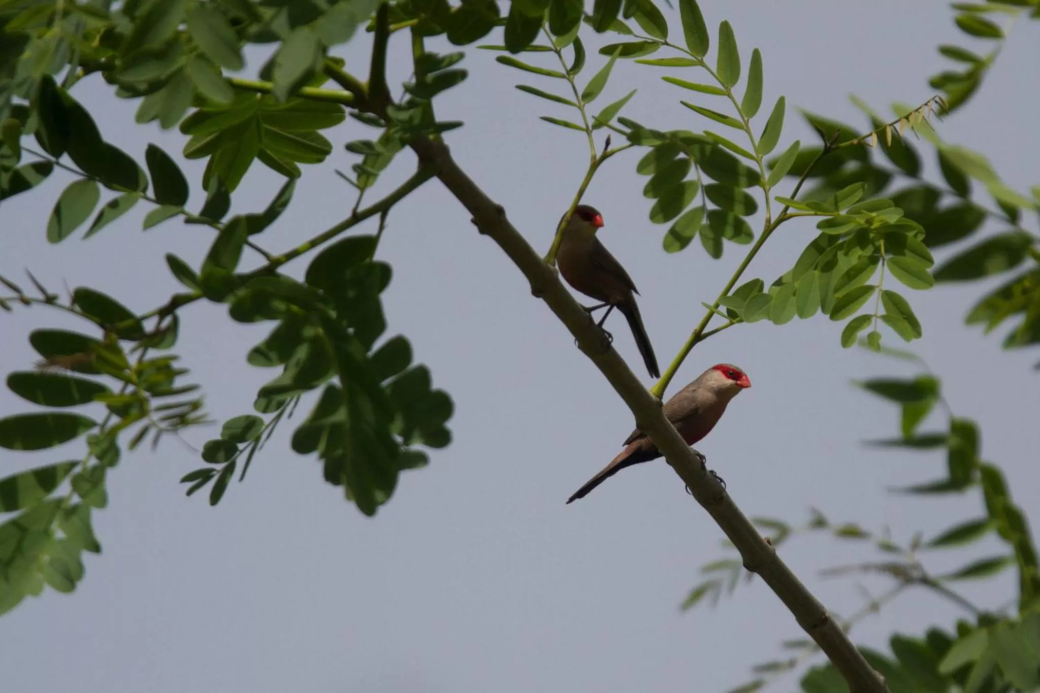 Garden in Quinta dos Poetas Nature Hotel & Apartments