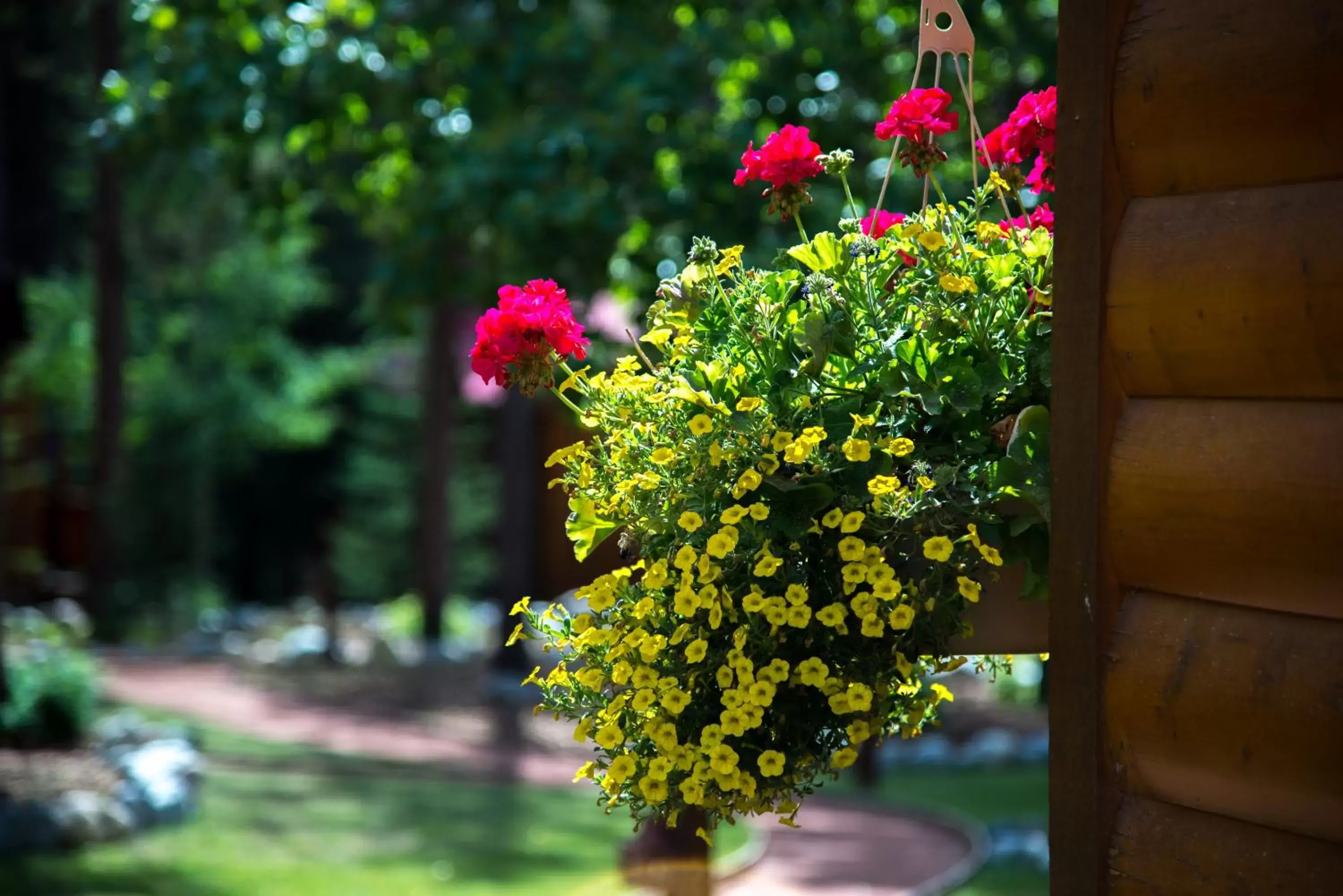 Garden in Baker Creek By Basecamp