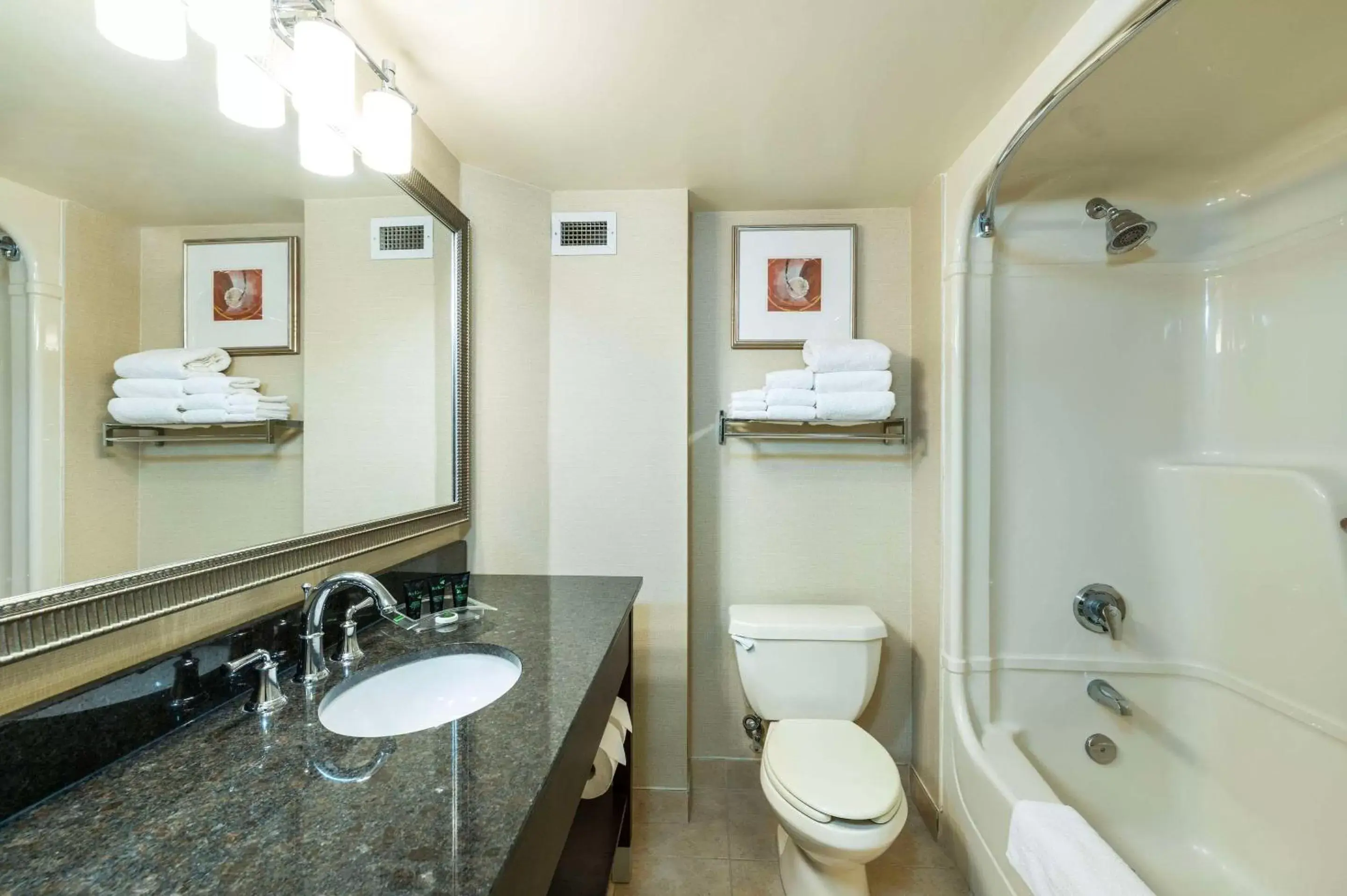 Bathroom in Allure Hotel & Conference Centre, Ascend Hotel Collection